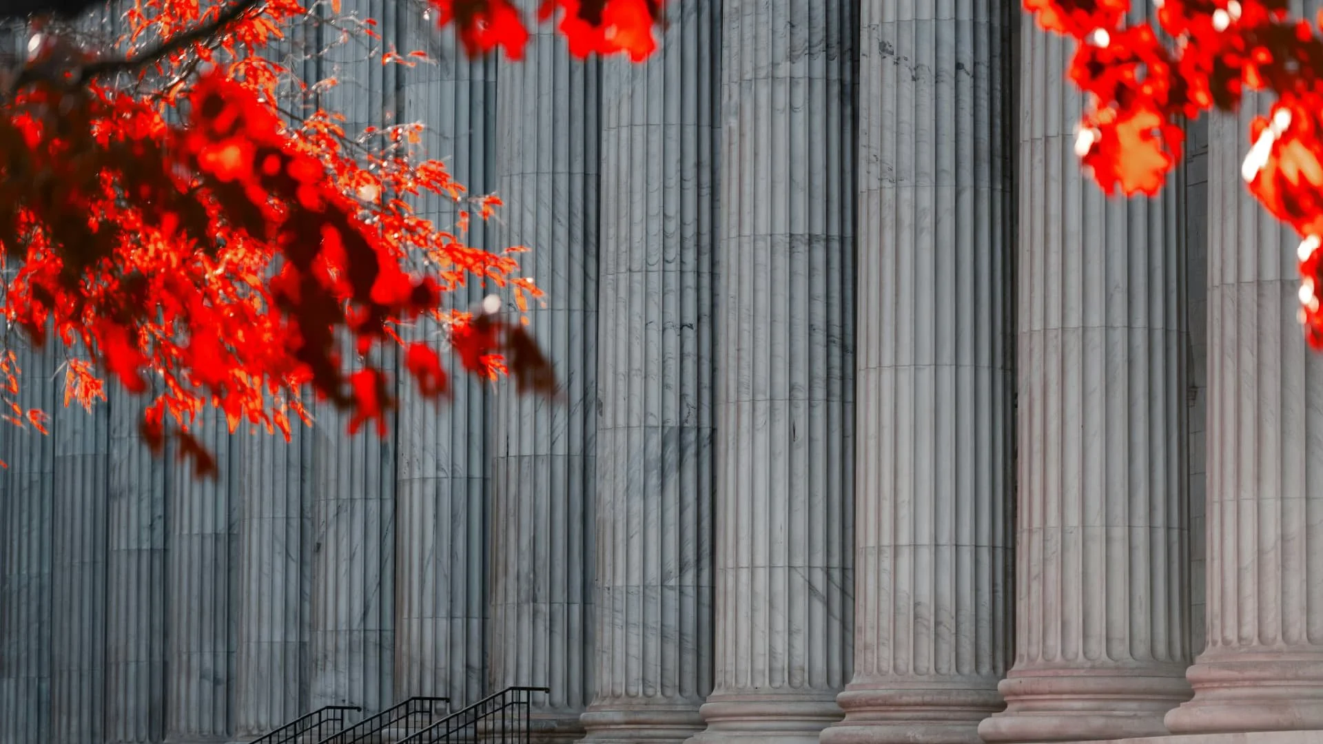 A professional legal office setting, representing the intersection of corporate law, public service, and strategic institutional decision-making.