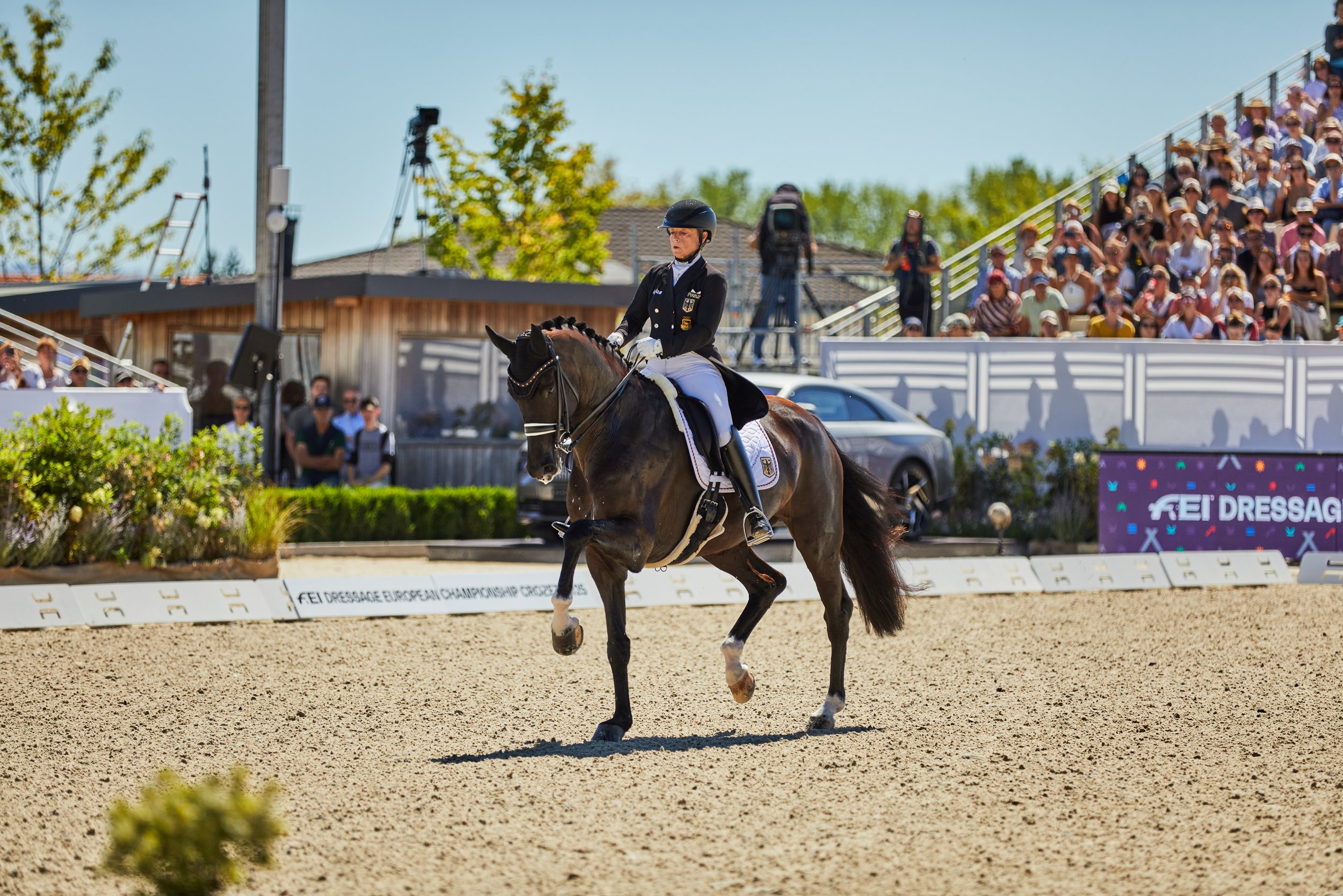 FEI Dressage European Championship Isabell Werth Wendy