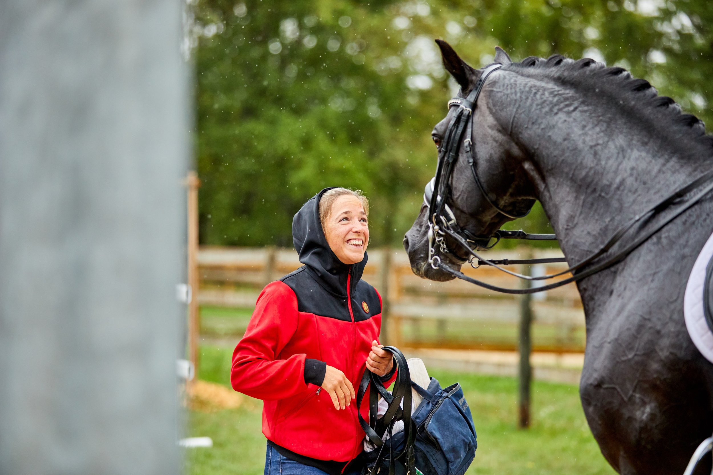 Happy Horse Groom