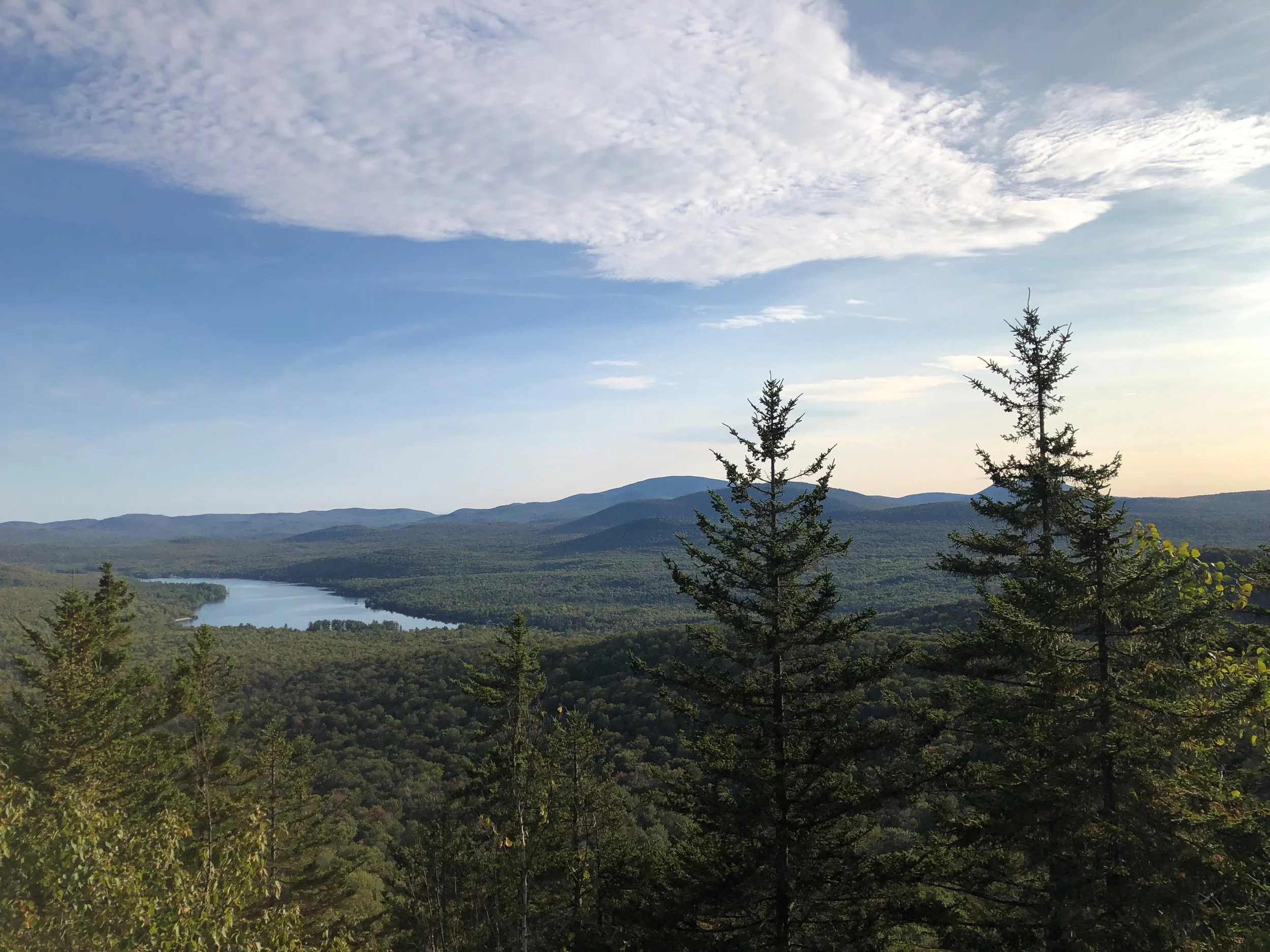 A scenic view of mountains and a lake surrounded by a dense forest with pine trees in the foreground, under a partly cloudy sky.