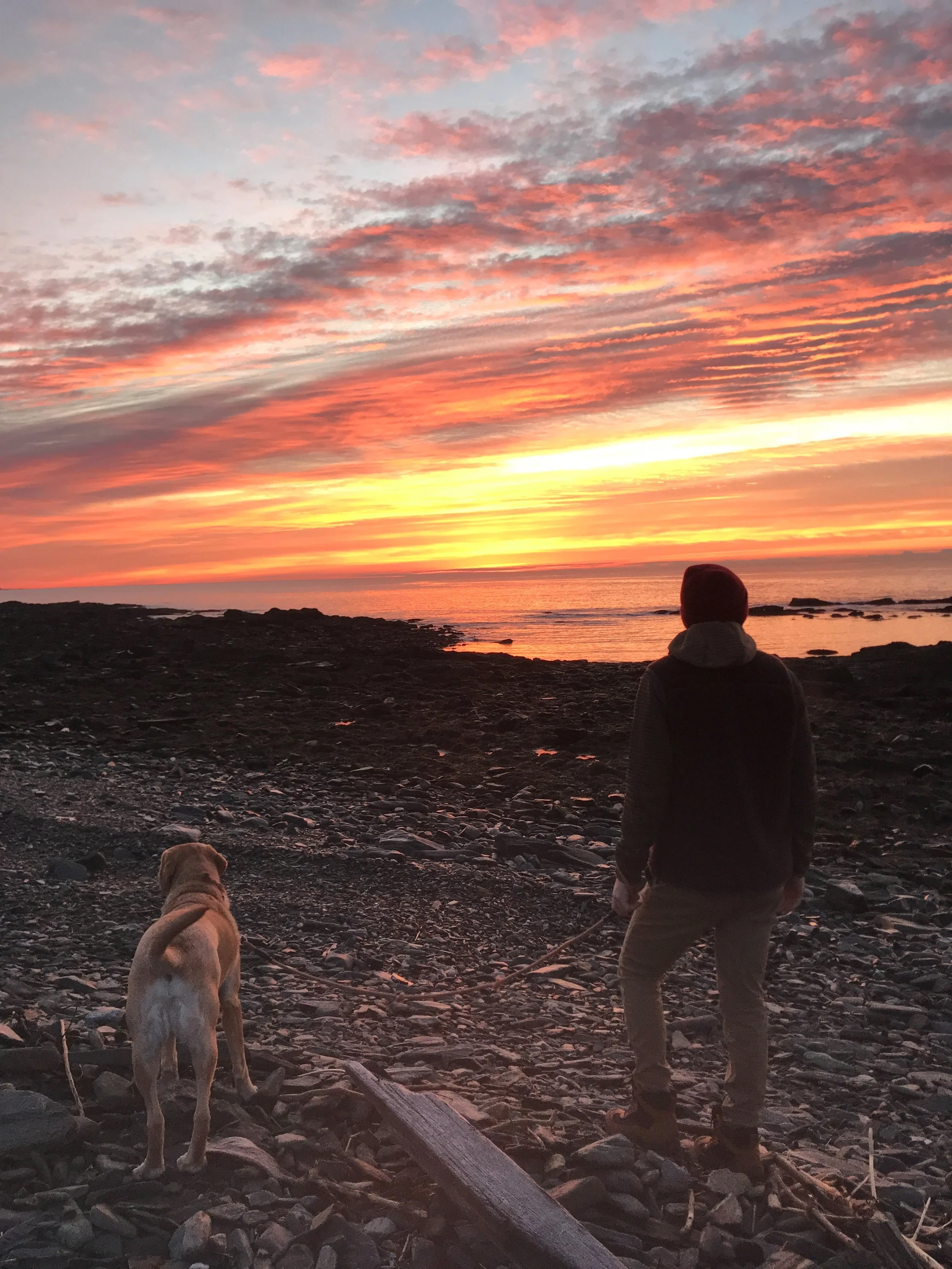 A person and a dog standing on a rocky beach at sunset, watching the colorful sky over the ocean.
