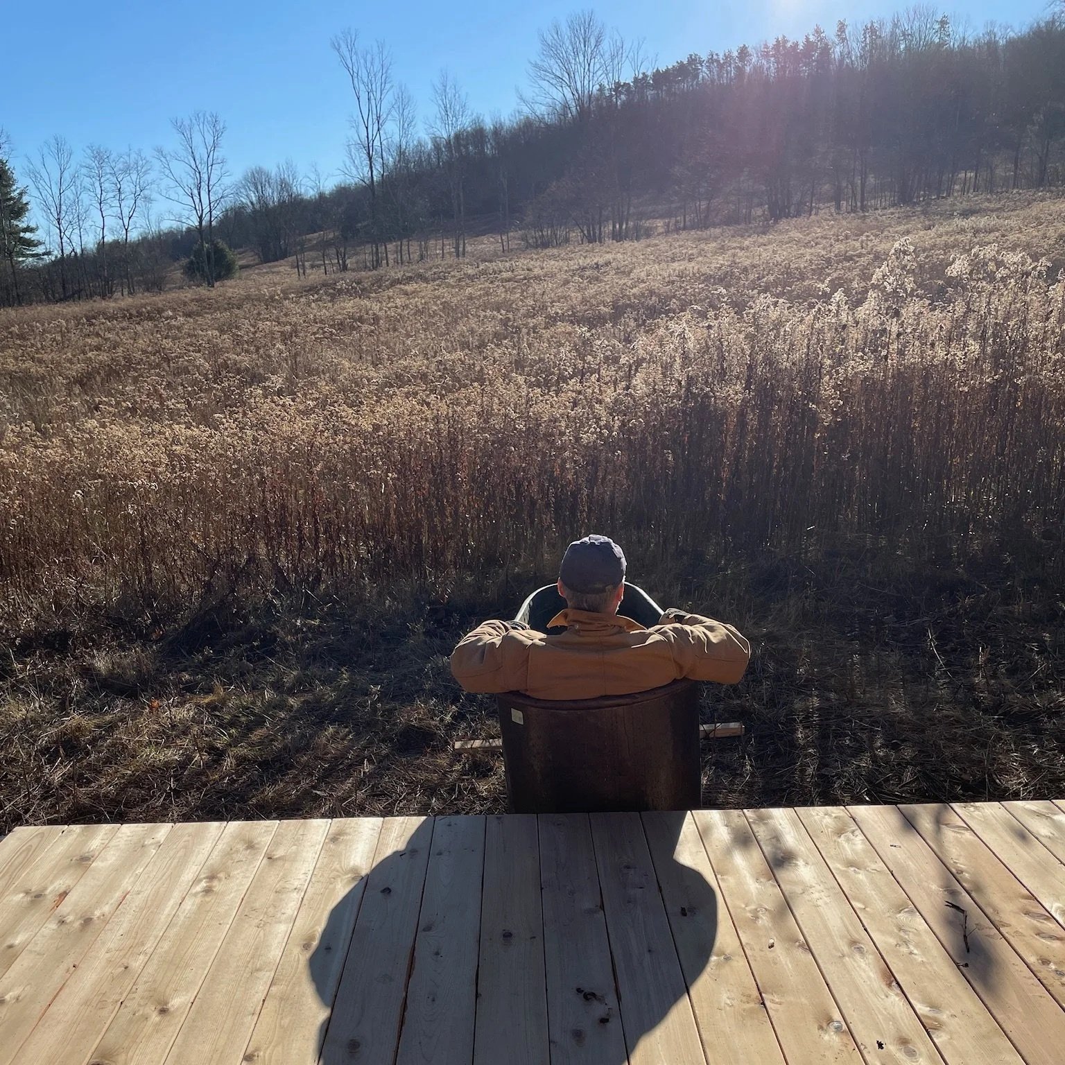 A person sitting on a chair and leaning back, looking out over a field of tall dry grass and trees in the distance, with a blue sky and bright sunlight.