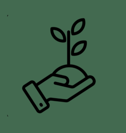 A hand holding a small plant with three leaves, symbolizing growth and nurturing.