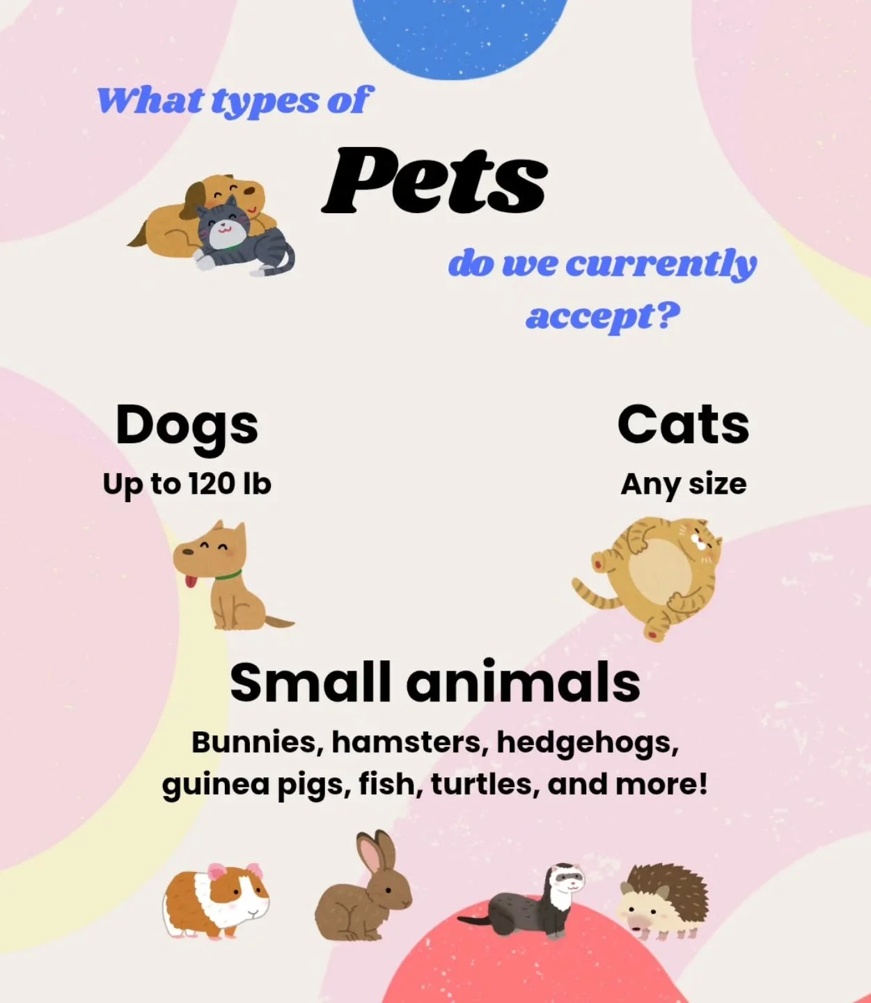 GREAT NEWS 🐶🐾

Whiskers &amp; Paws Care is now accepting house sitting and dog walking requests for dogs UP TO 120 LB! 🐕

We also have a new dog walker joining our team! Stay tuned for our next introduction post🐶

#Stamford #petsitter #dogwalker 