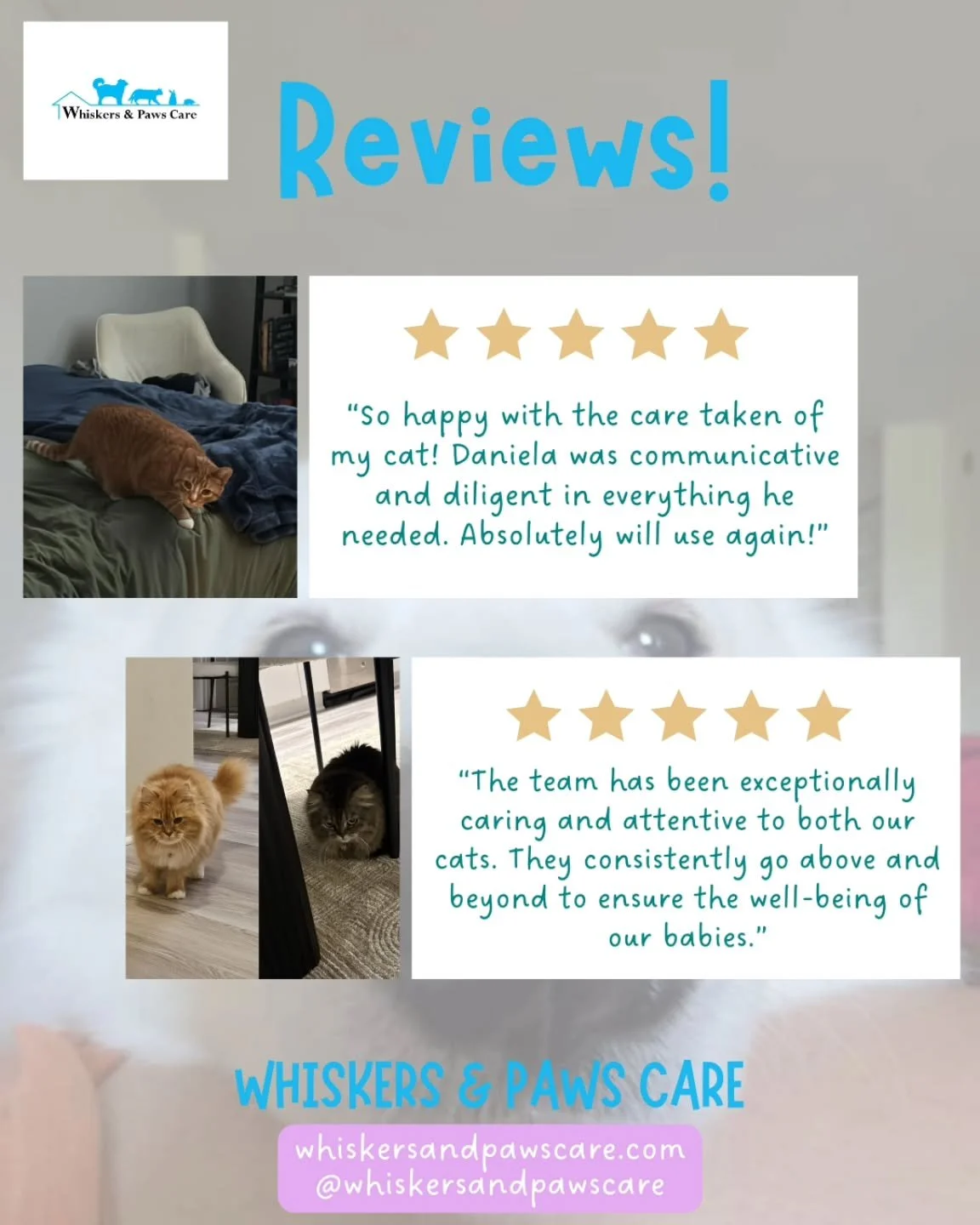 Reviews! 🐾✨️

Thanks to all our clients for your amazing reviews 💖🙏🏻

#Stamford #petsitter #dogwalker #petsitting #smallbusiness