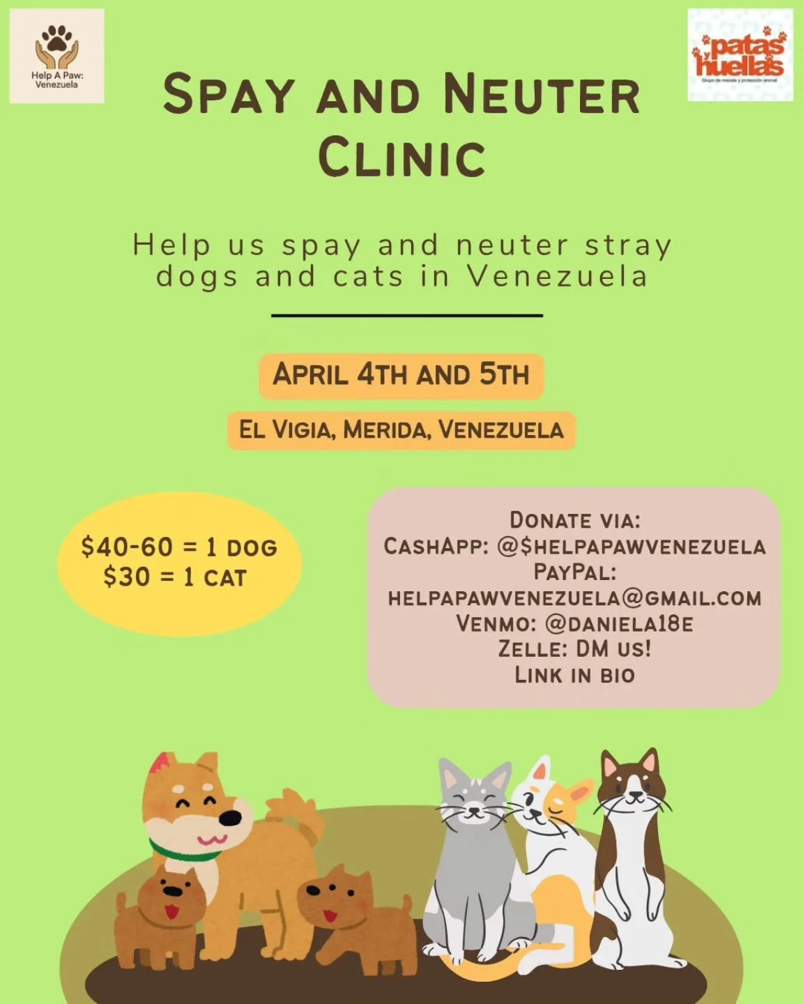 Maybe you didn't know, but the Whiskers &amp; Paws Care team has founded a non profit organization that raises funds for animal rescues in a small town in Venezuela! 

In a couple of weeks there is a low-cost clinic. There are many strays up for ster