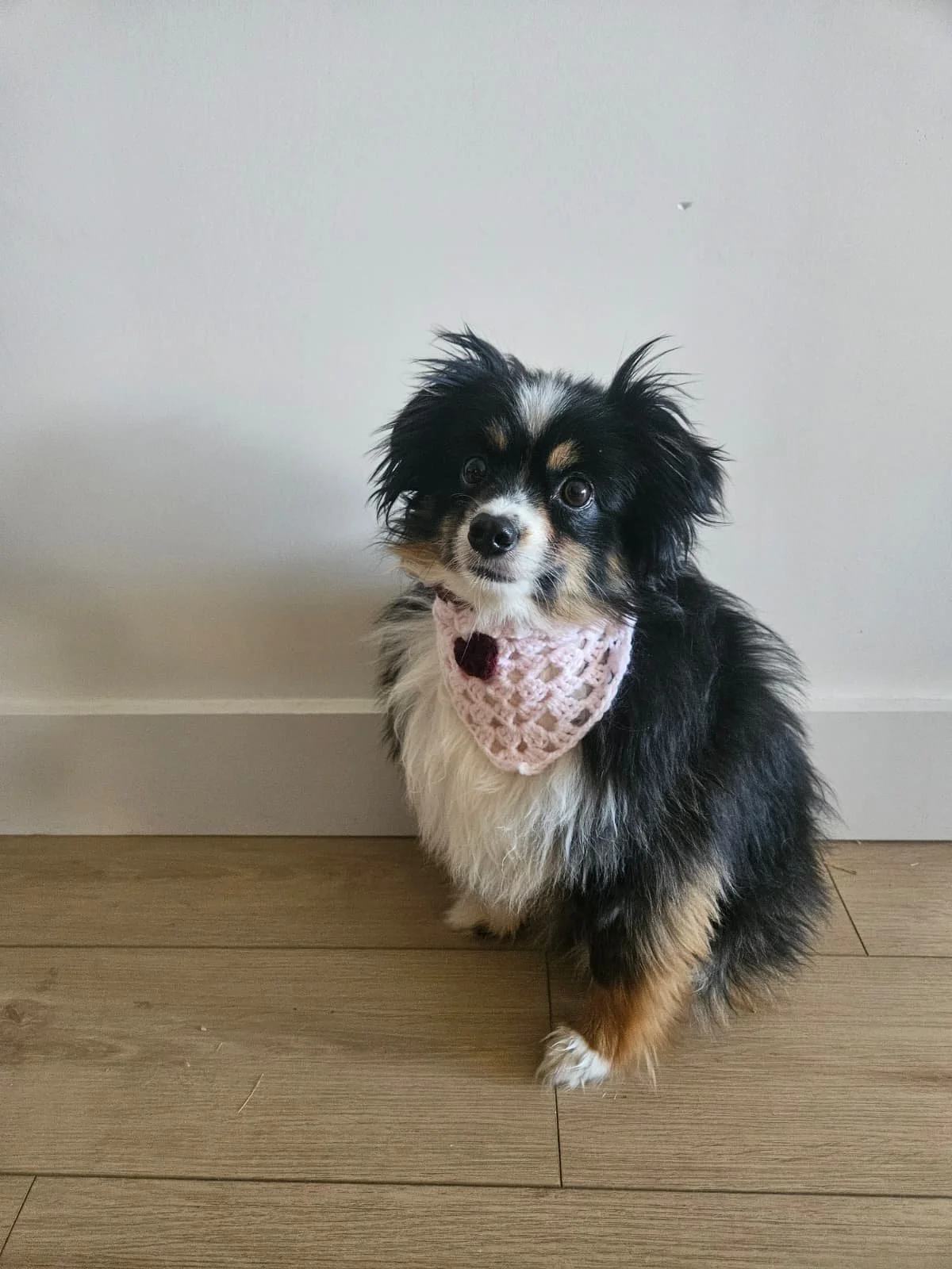 WhatsApp Image 2025-10-14 at 09.30.21.jpeg