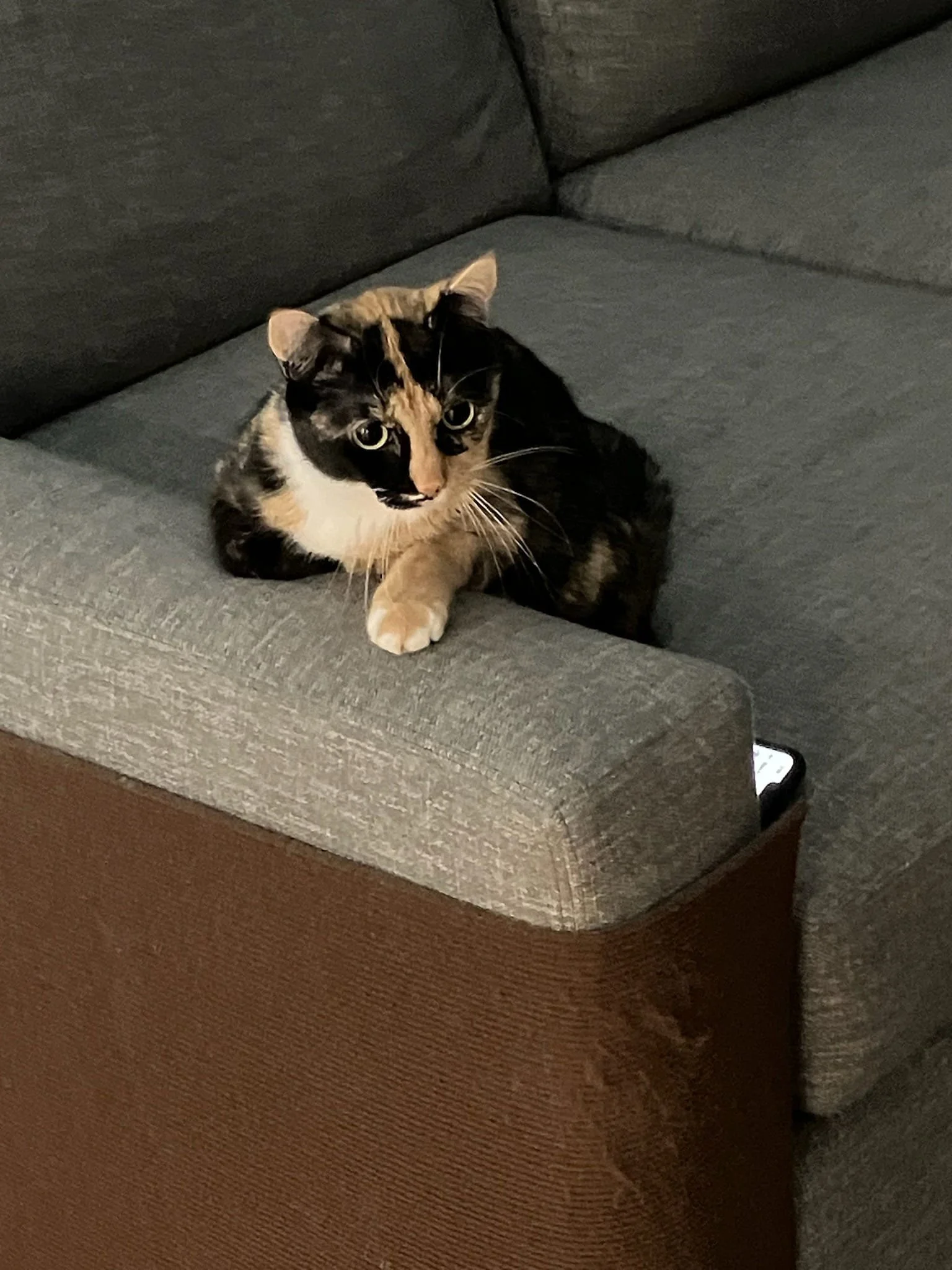 WhatsApp Image 2025-10-12 at 20.35.33.jpeg