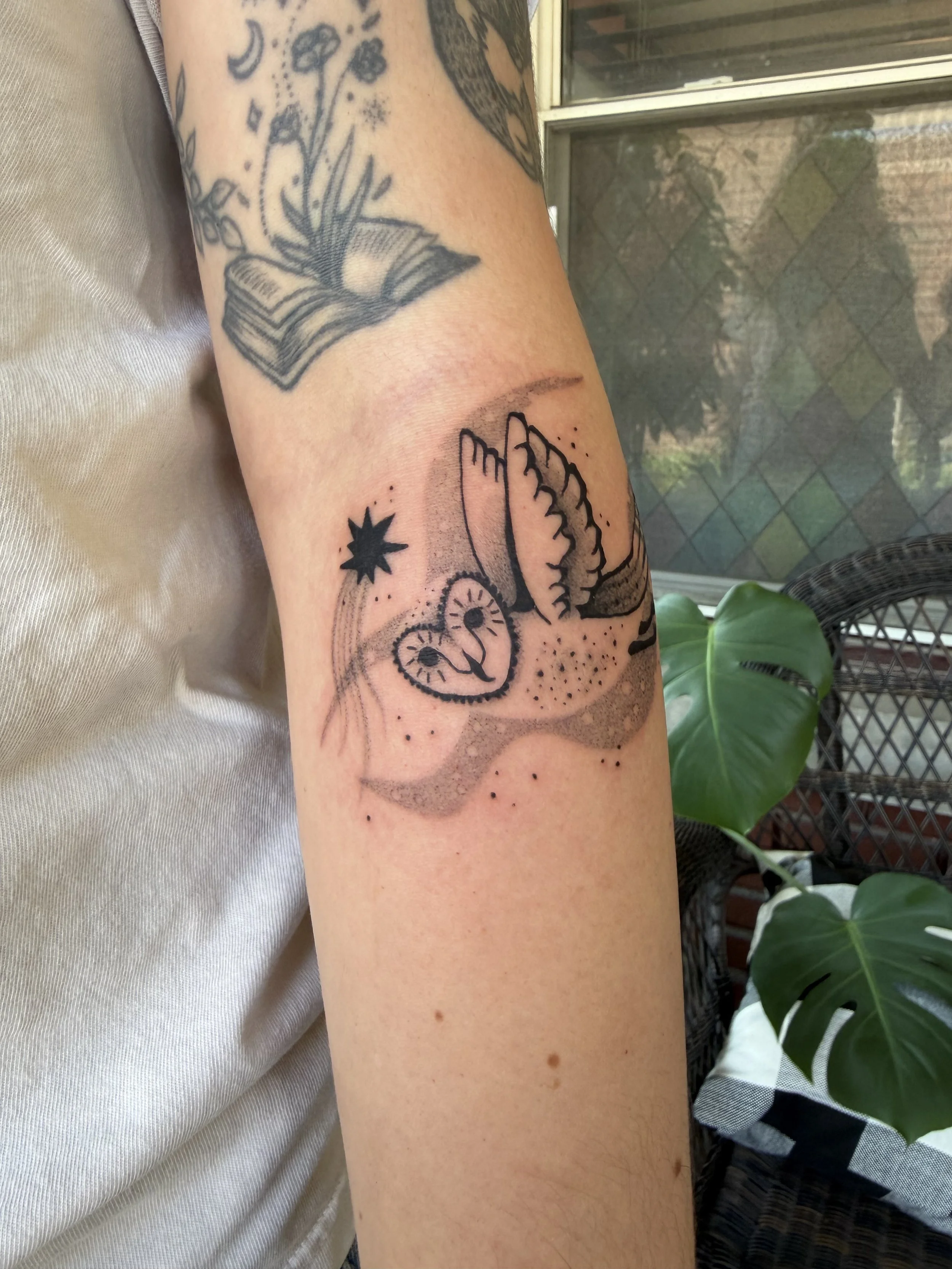 IMG_1818.jpeg