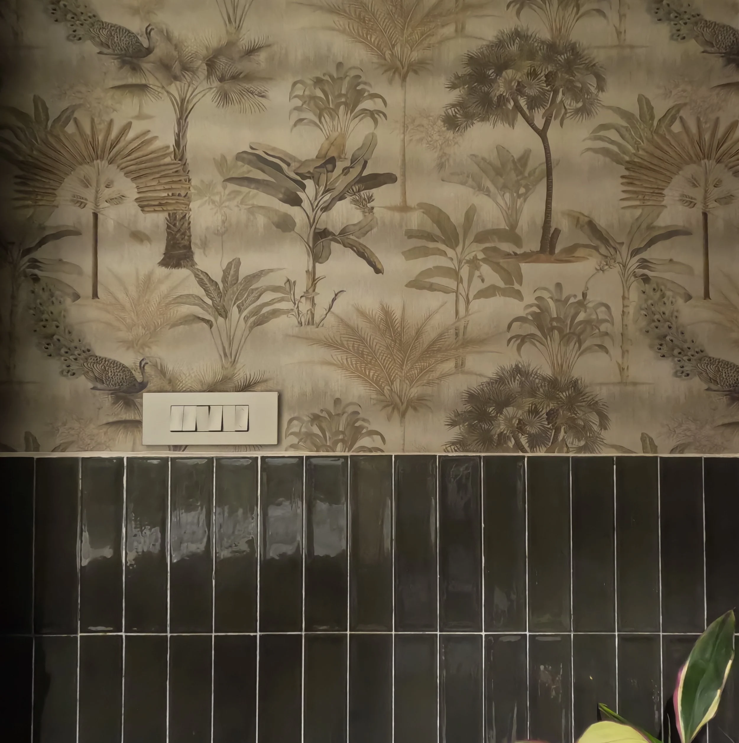Decorative wall featuring tropical plants and animals wallpaper with a light switch and black tiled wall below.