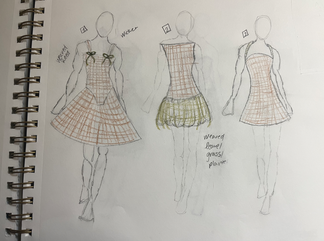 Design Sketches