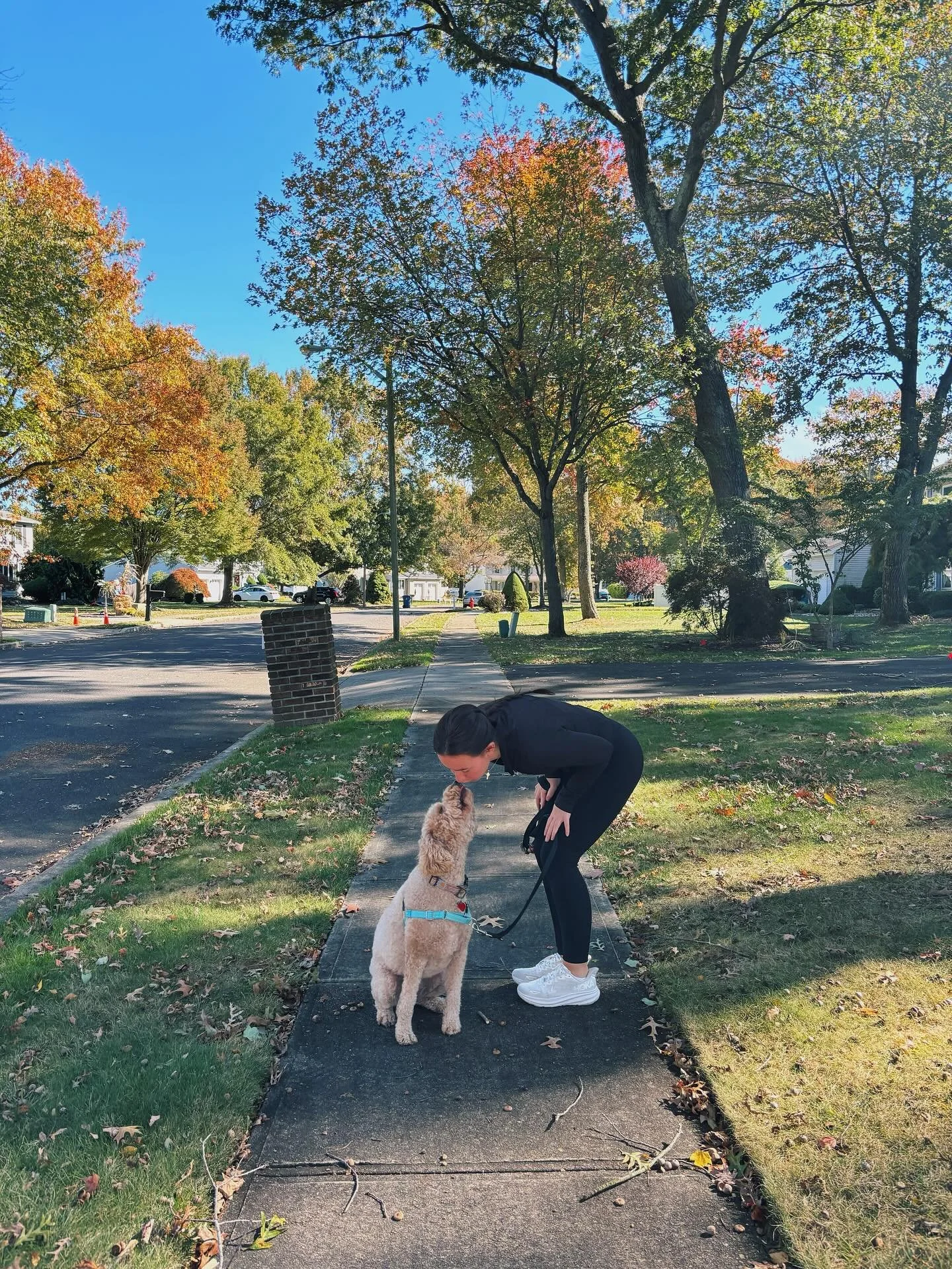 bigggg October lover 🧡🍂🎃🐈&zwj;⬛