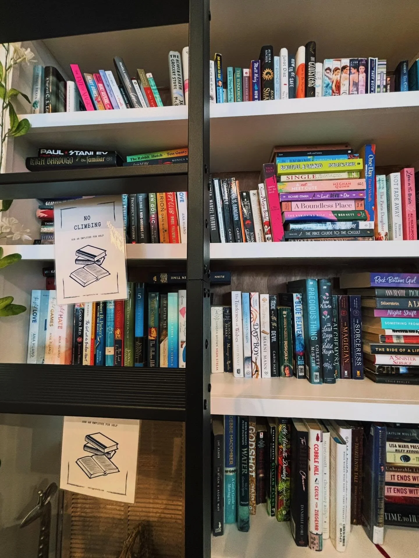 summer countdown begins now (happy spring) 😄