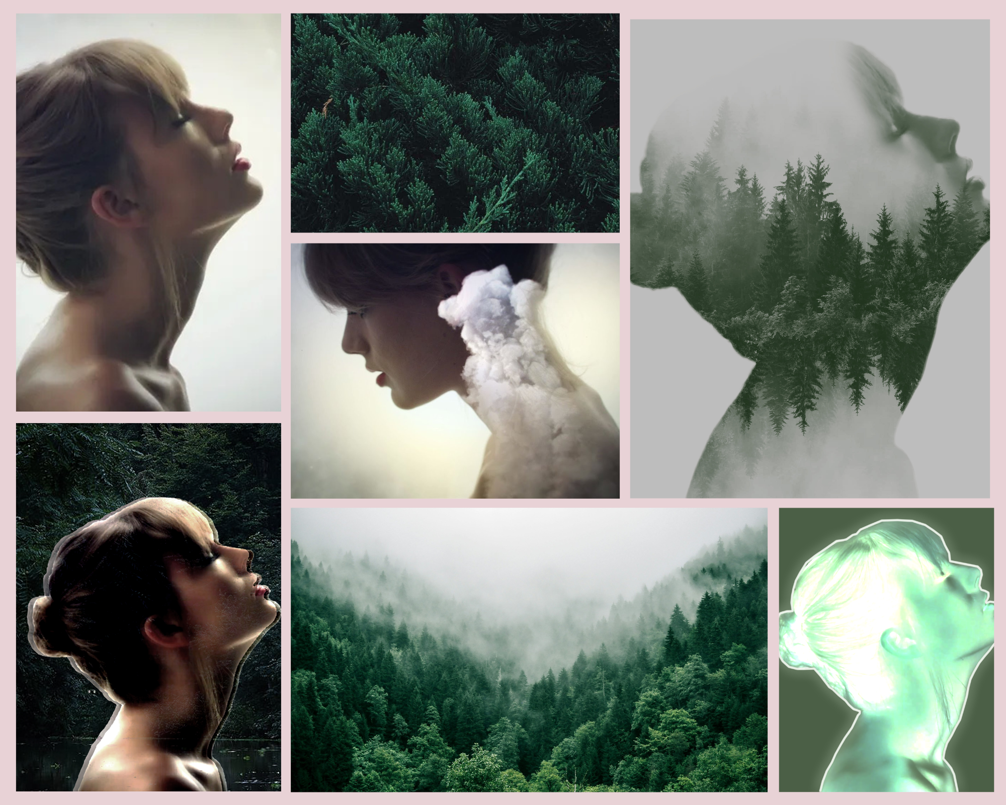 Photo Manipulation Project