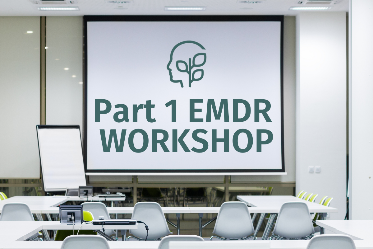 EMDR Training, Part 1: Auckland, January 2026
