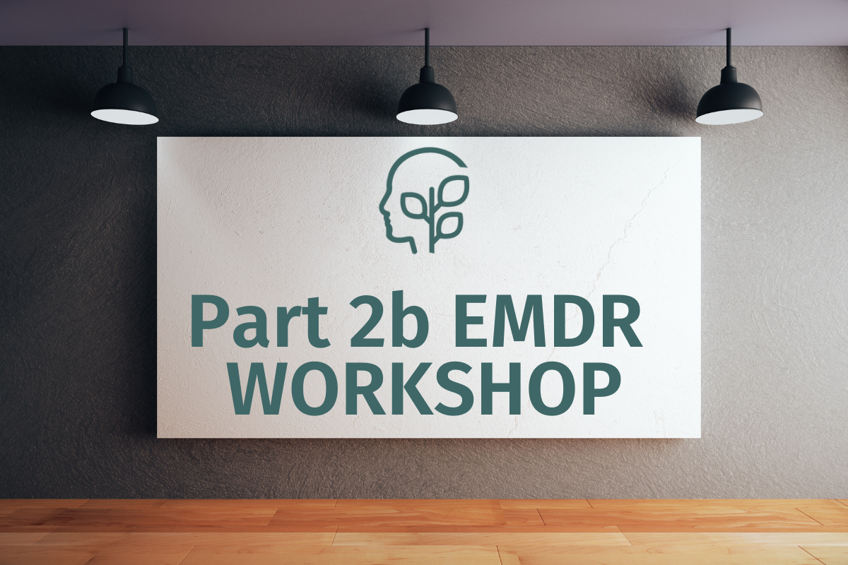 EMDR Training, Part 2B: Auckland, July 2026 