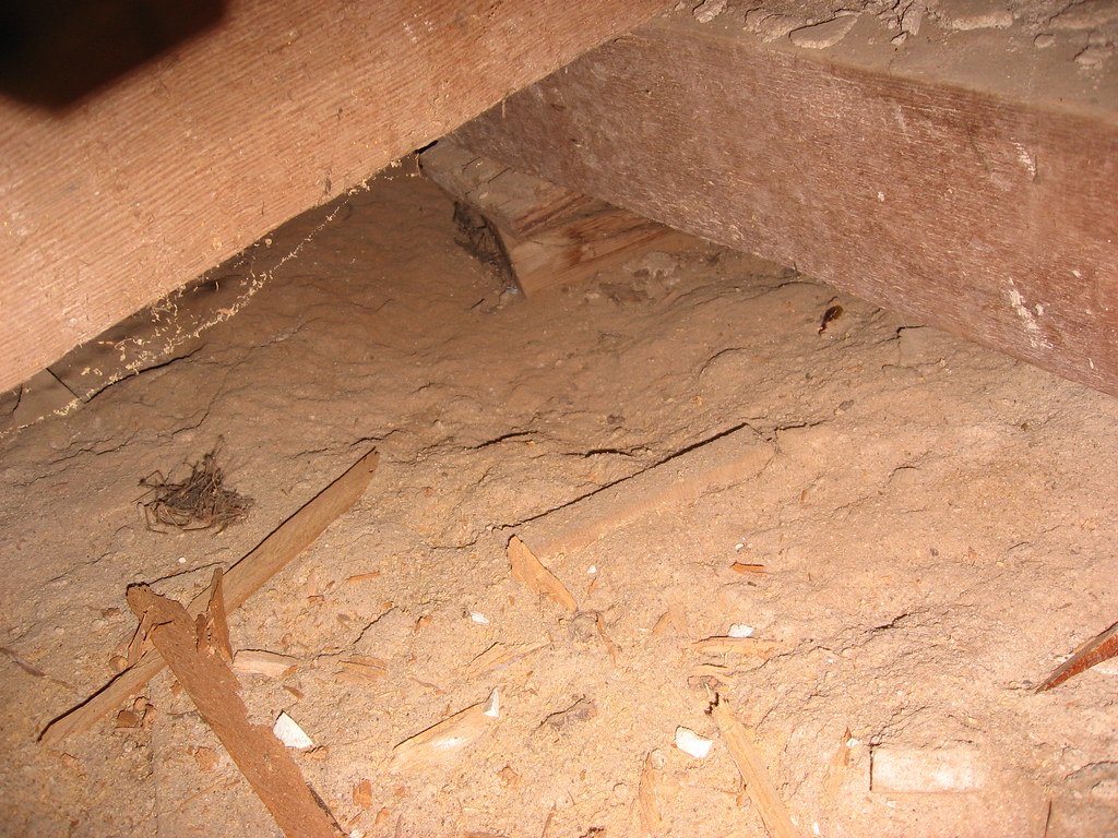 Dirt Is Not a Floor: A Crawlspace Love Story
