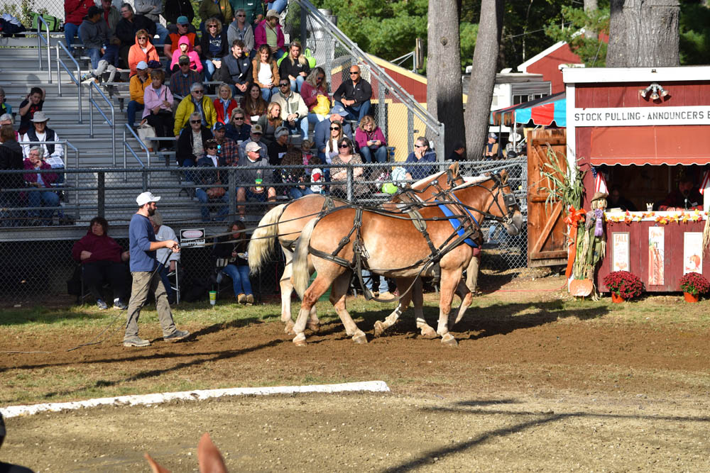 Deerfield Fair