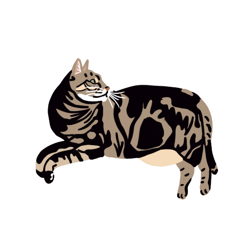 Illustration of a tabby cat lying down, facing left, with brown and black stripes and white details.