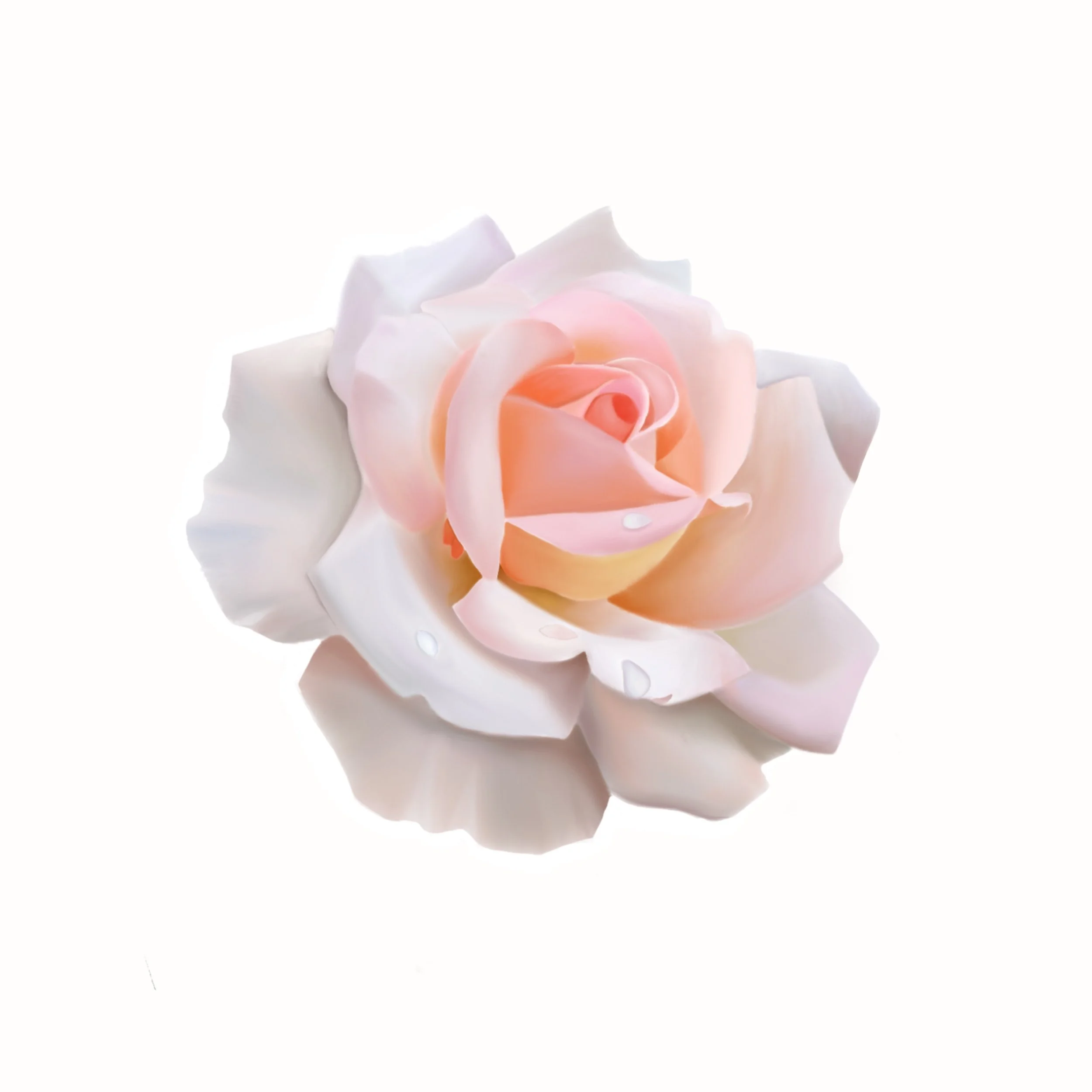 Procreate Oil Floral.jpg