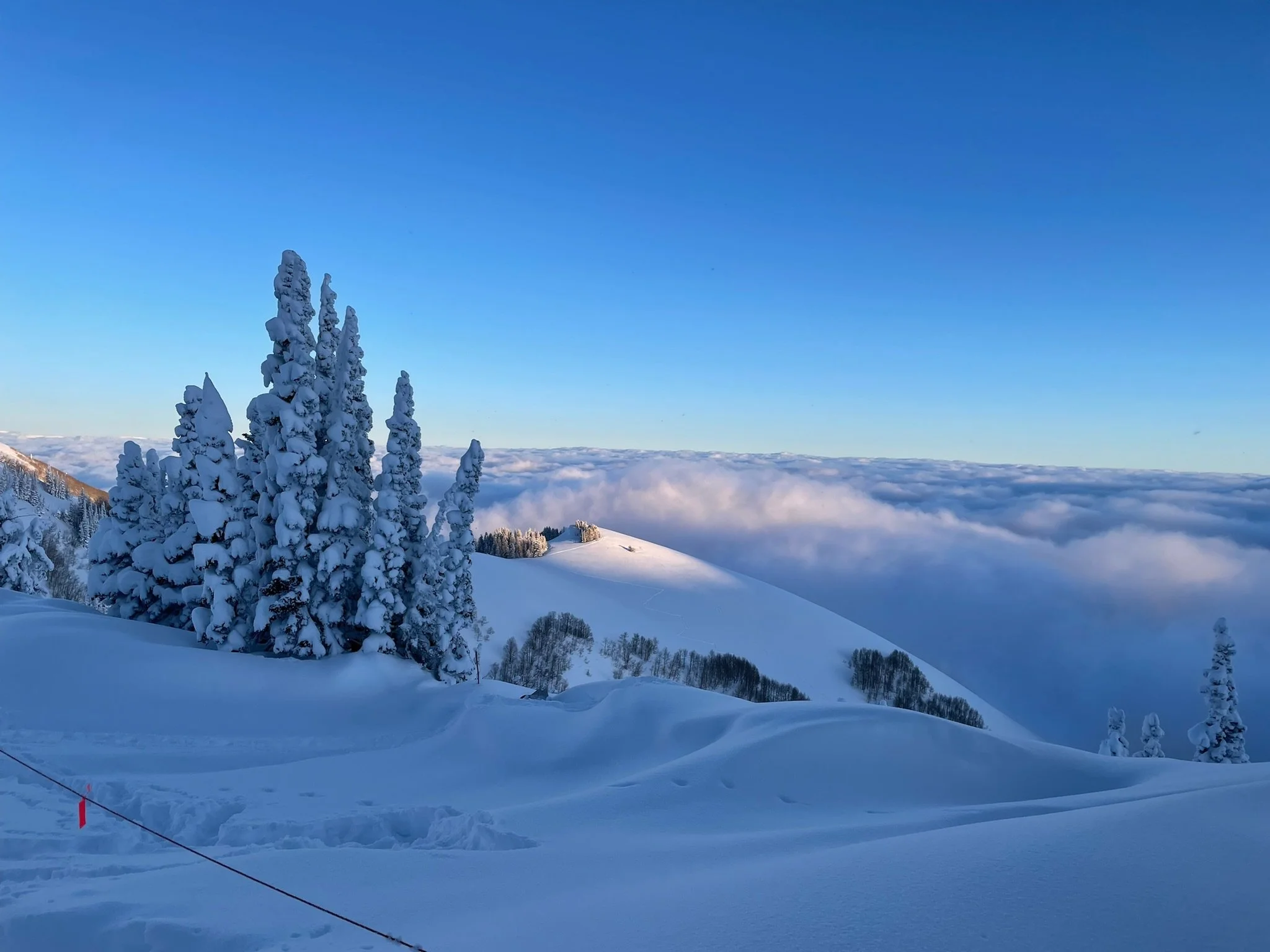 For the most part, I do my best not to do a 1 to 1 copy of the references provided. 