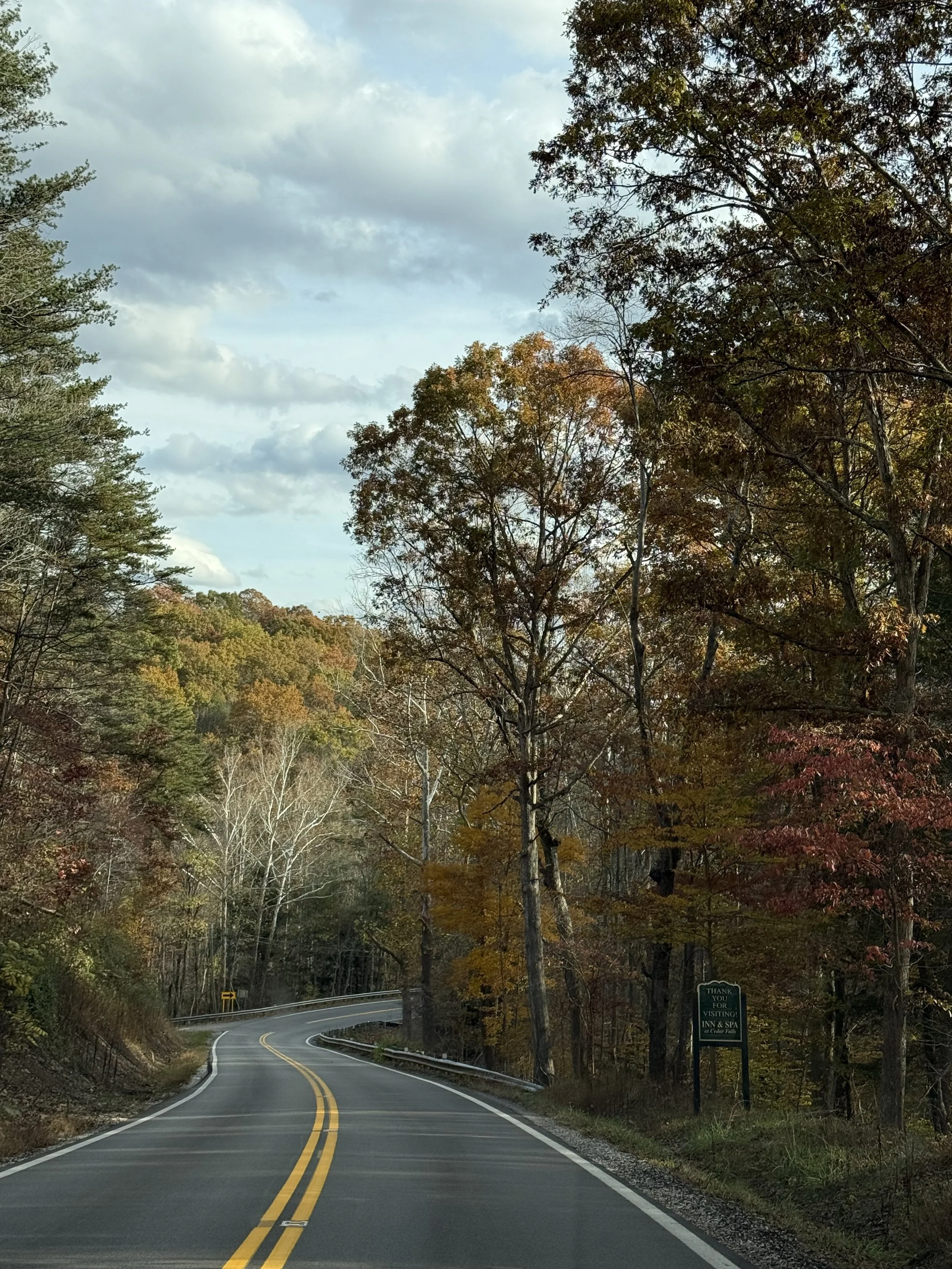 A Story of Healing Through EMDR