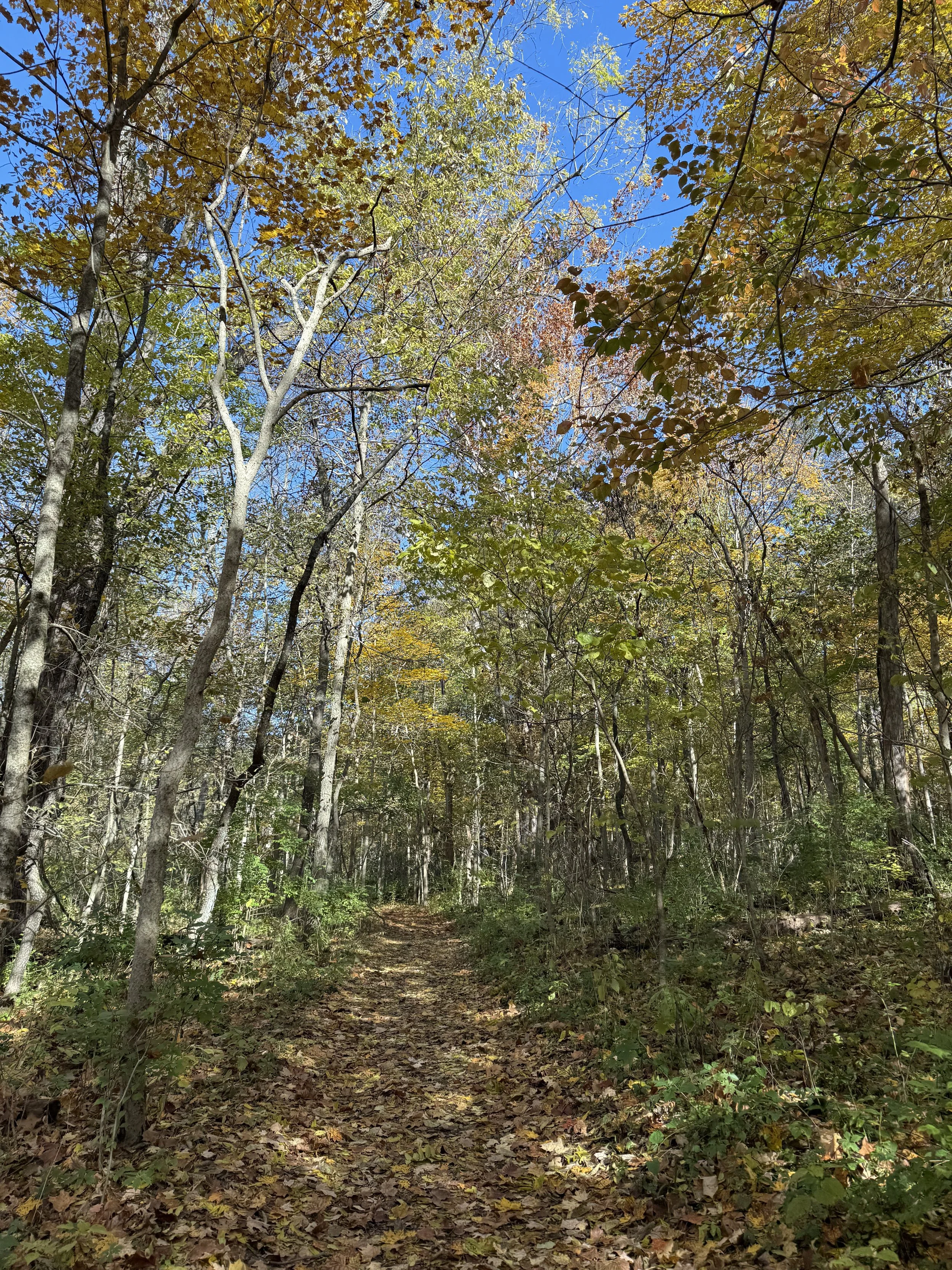 A Story of EMDR After a Recent Relationship Crisis