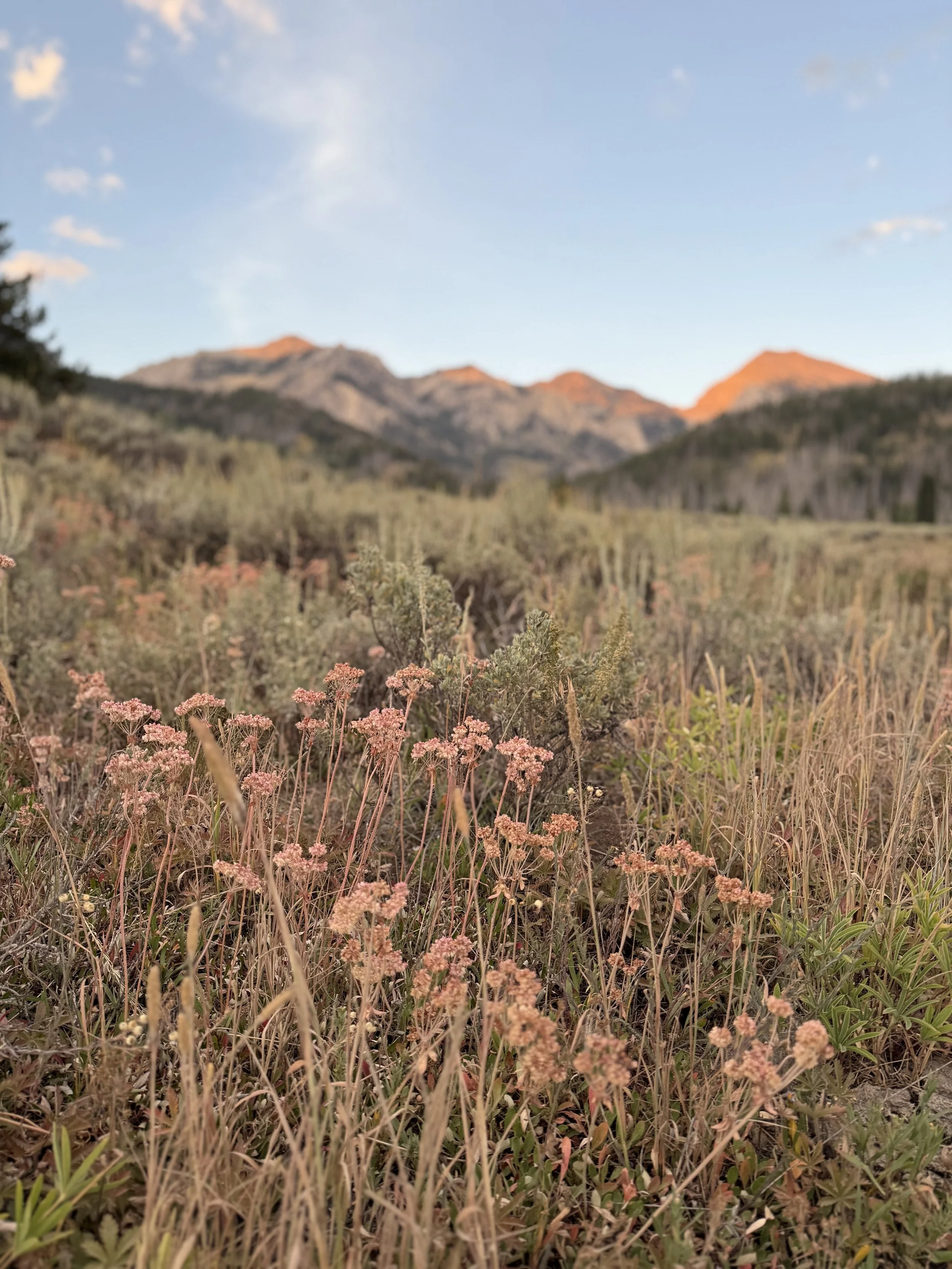 Reclaiming Identity Through EMDR