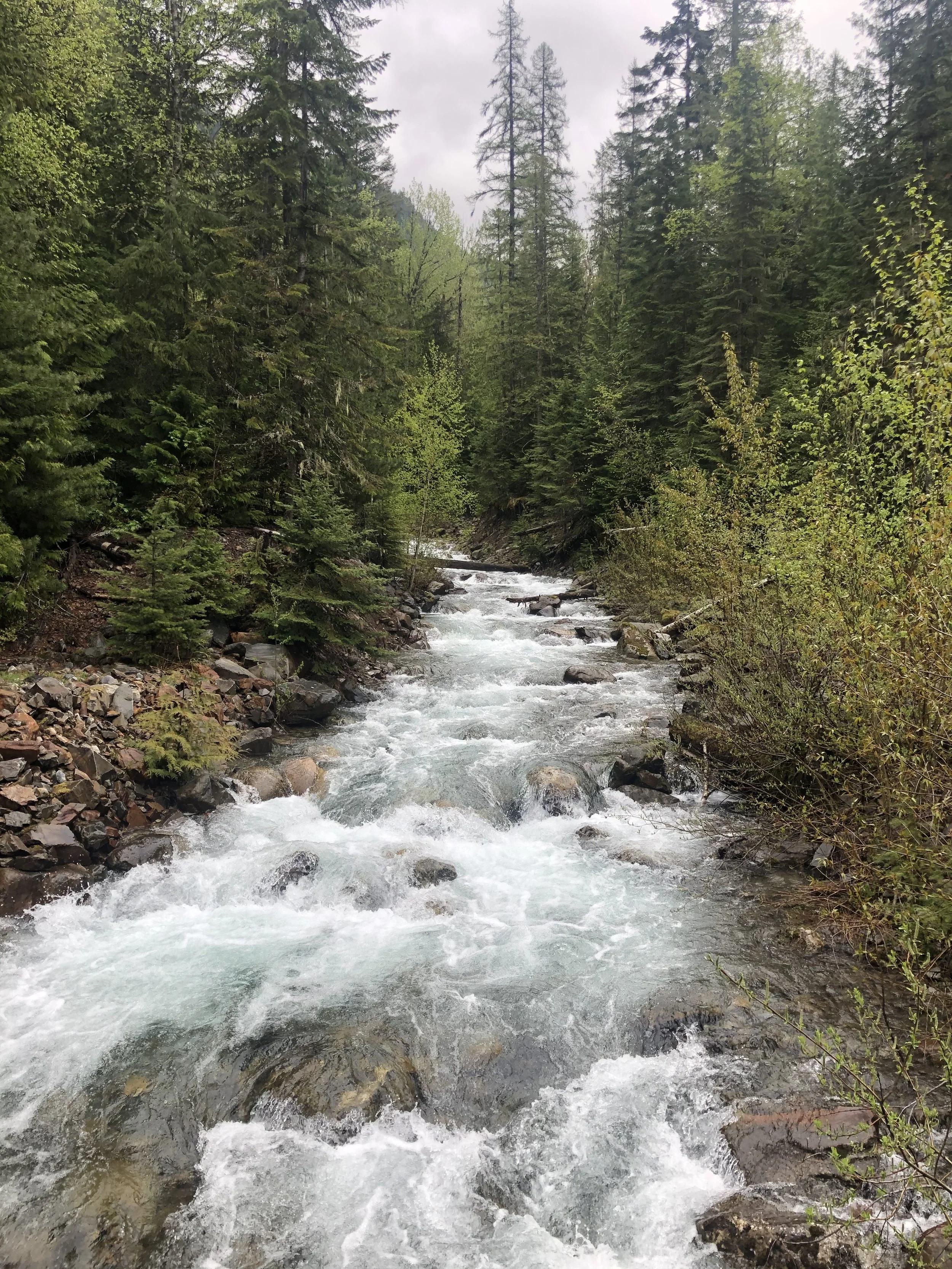 How EMDR and Meditation Help Break the Cycle of Addiction and Shame