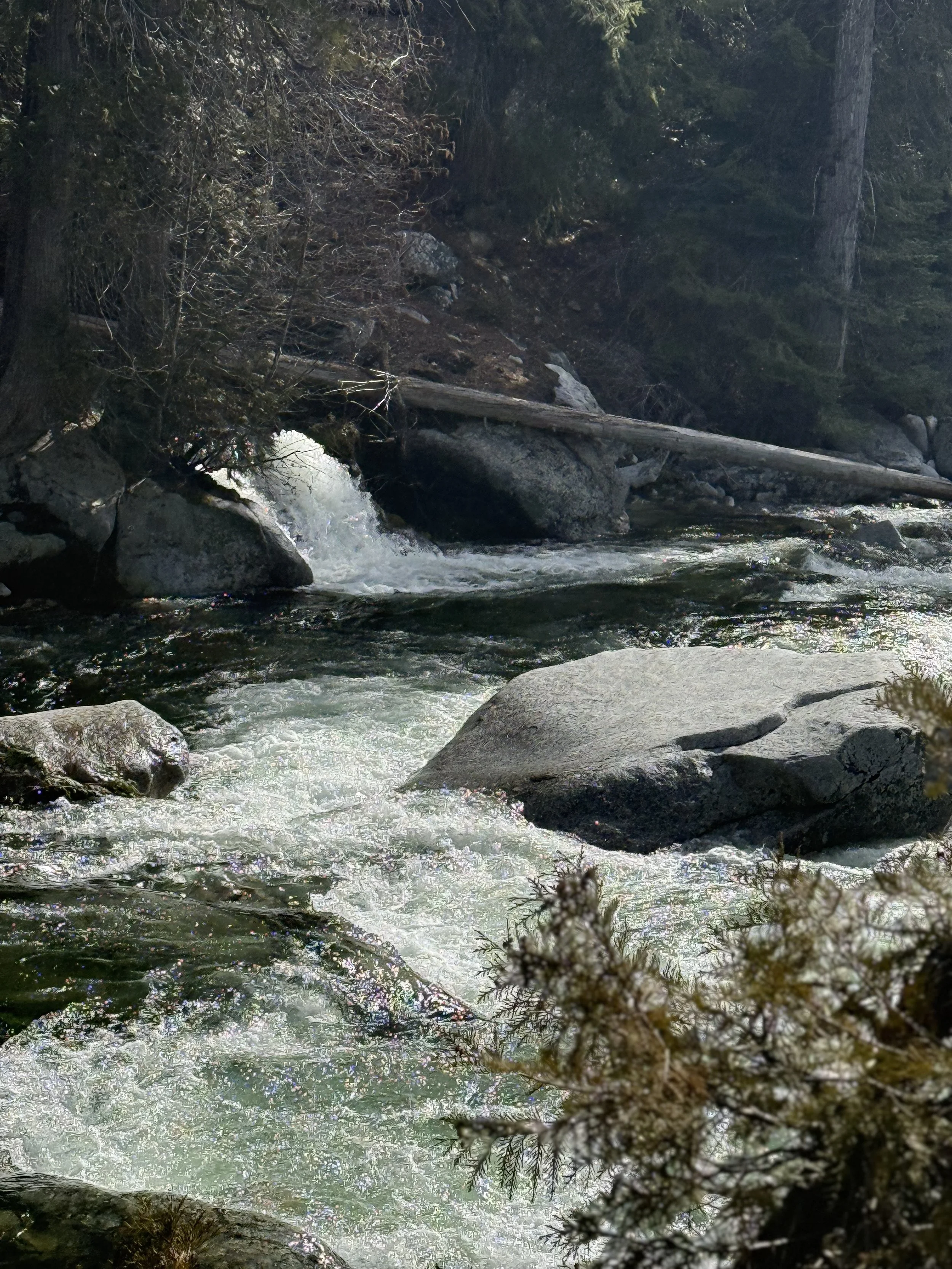Grief Support Group Reflection: Meeting Emotions with Compassion