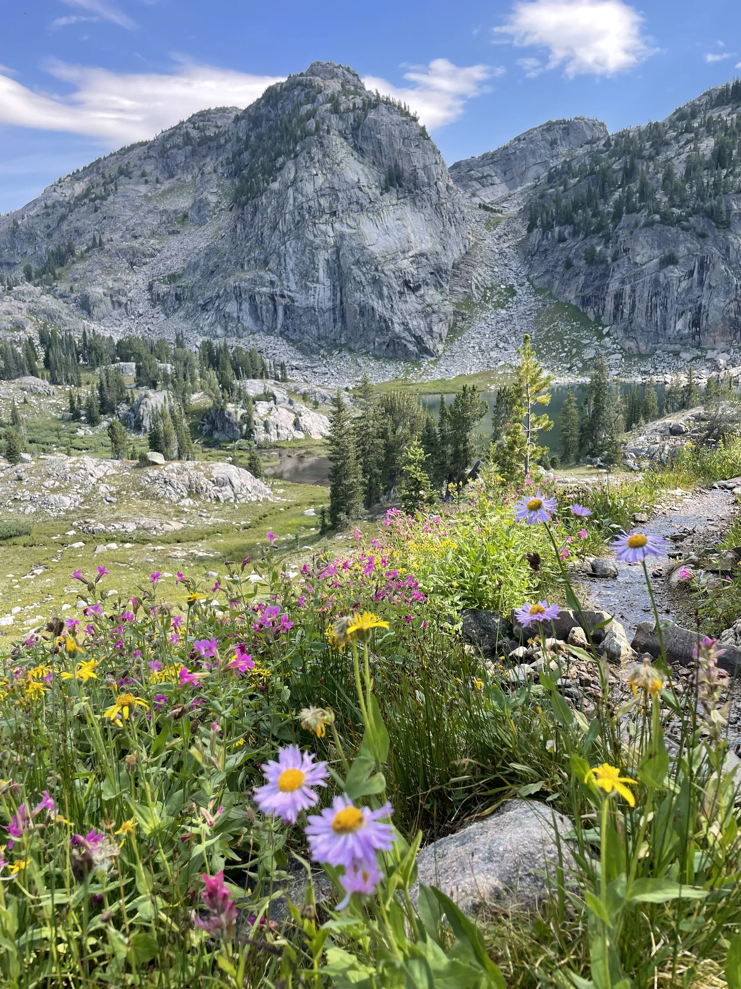 In Step With Summer; A Practice of Living Awareness