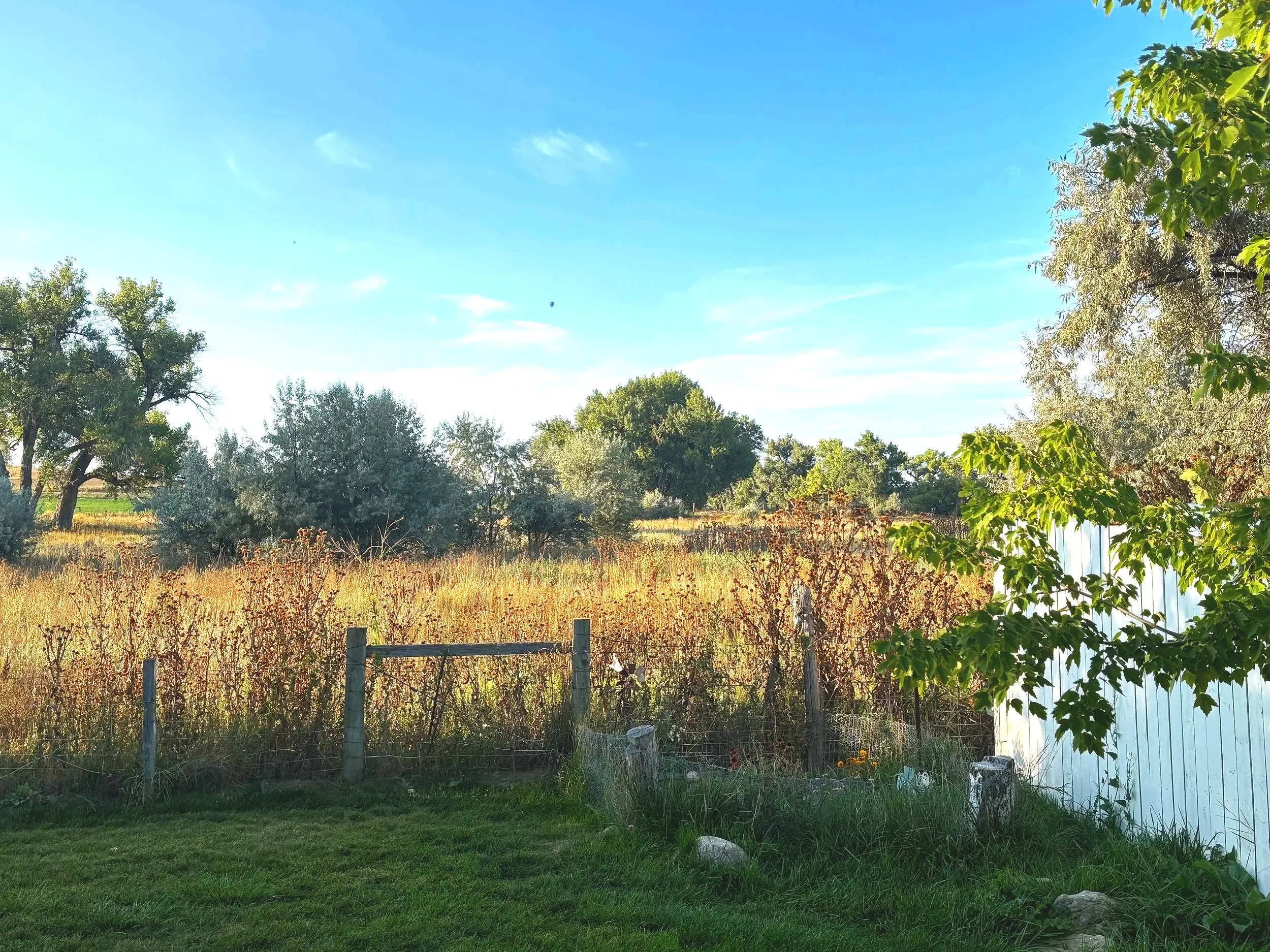 View from backyard