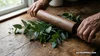How to Hang Eucalyptus in Your Shower: The Ultimate Spa Ritual ...