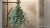 How to Hang Eucalyptus in Your Shower: The Ultimate Spa Ritual ...