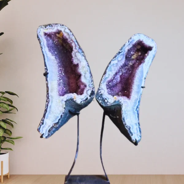 Amethyst Angel Wings 22X18.5 Inches.webp
