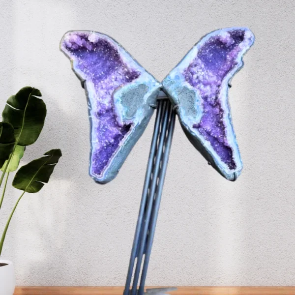 Amethyst Angel Wings 29X23 Inches