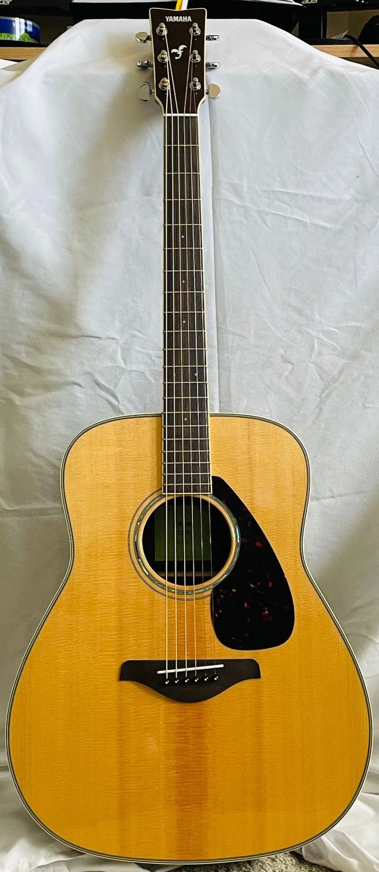 Acoustic Electric Guitar
