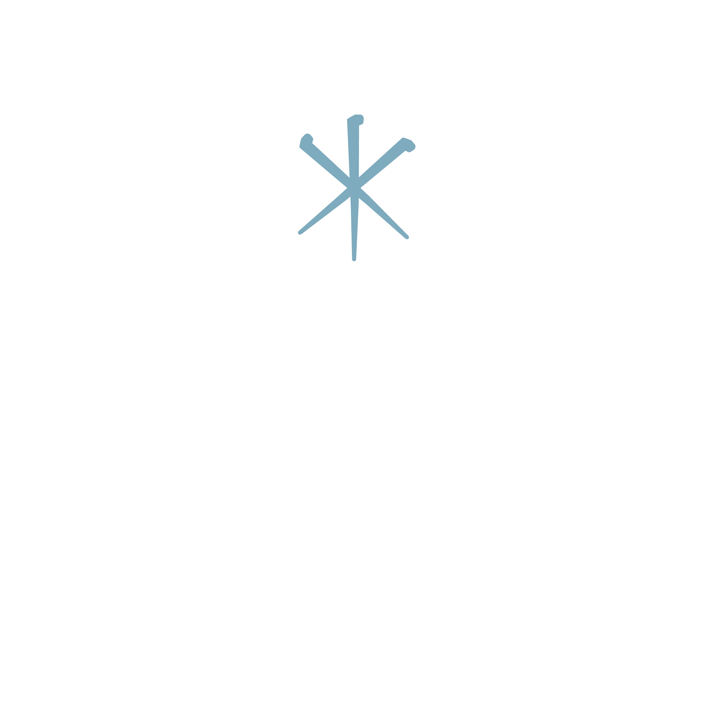 Logo with snowflake symbol and the text 'Revival City' in stylized font.