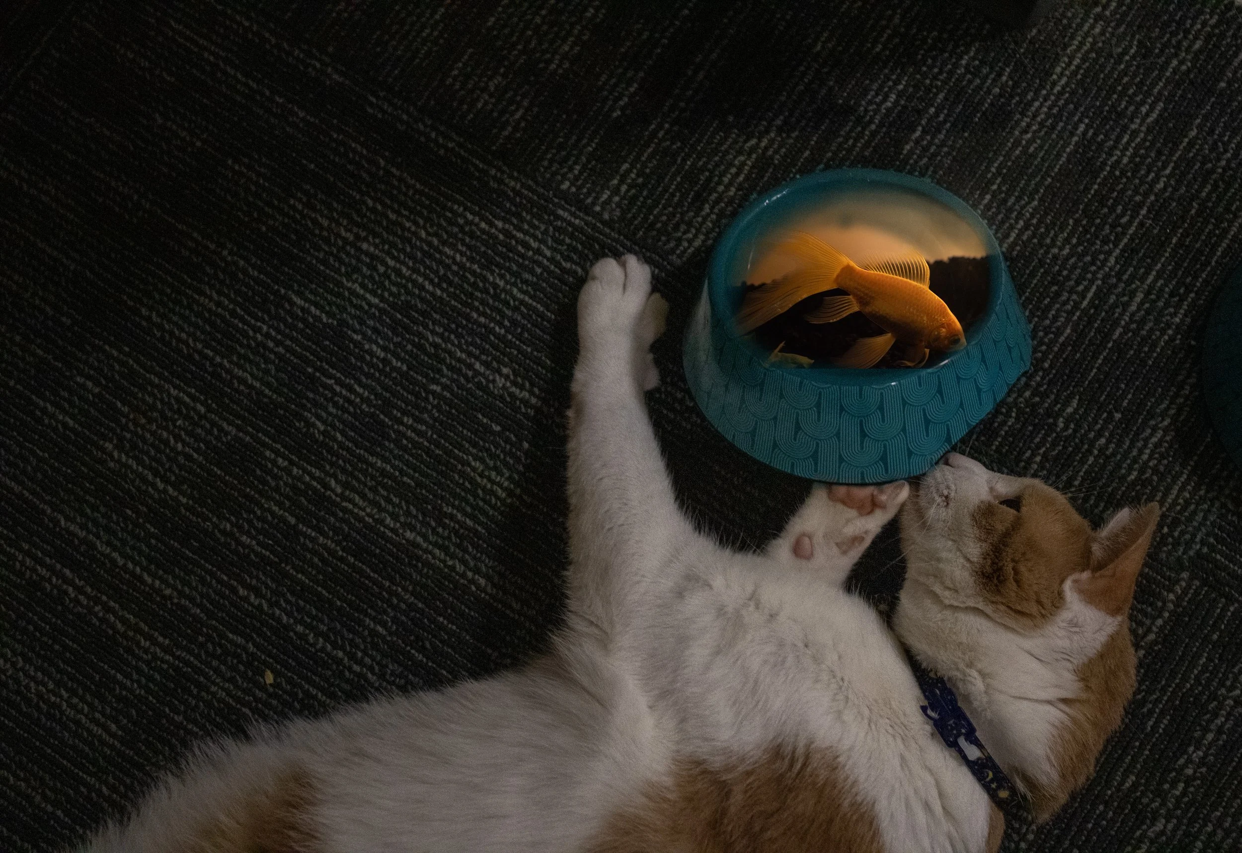 photocompositing.jpg