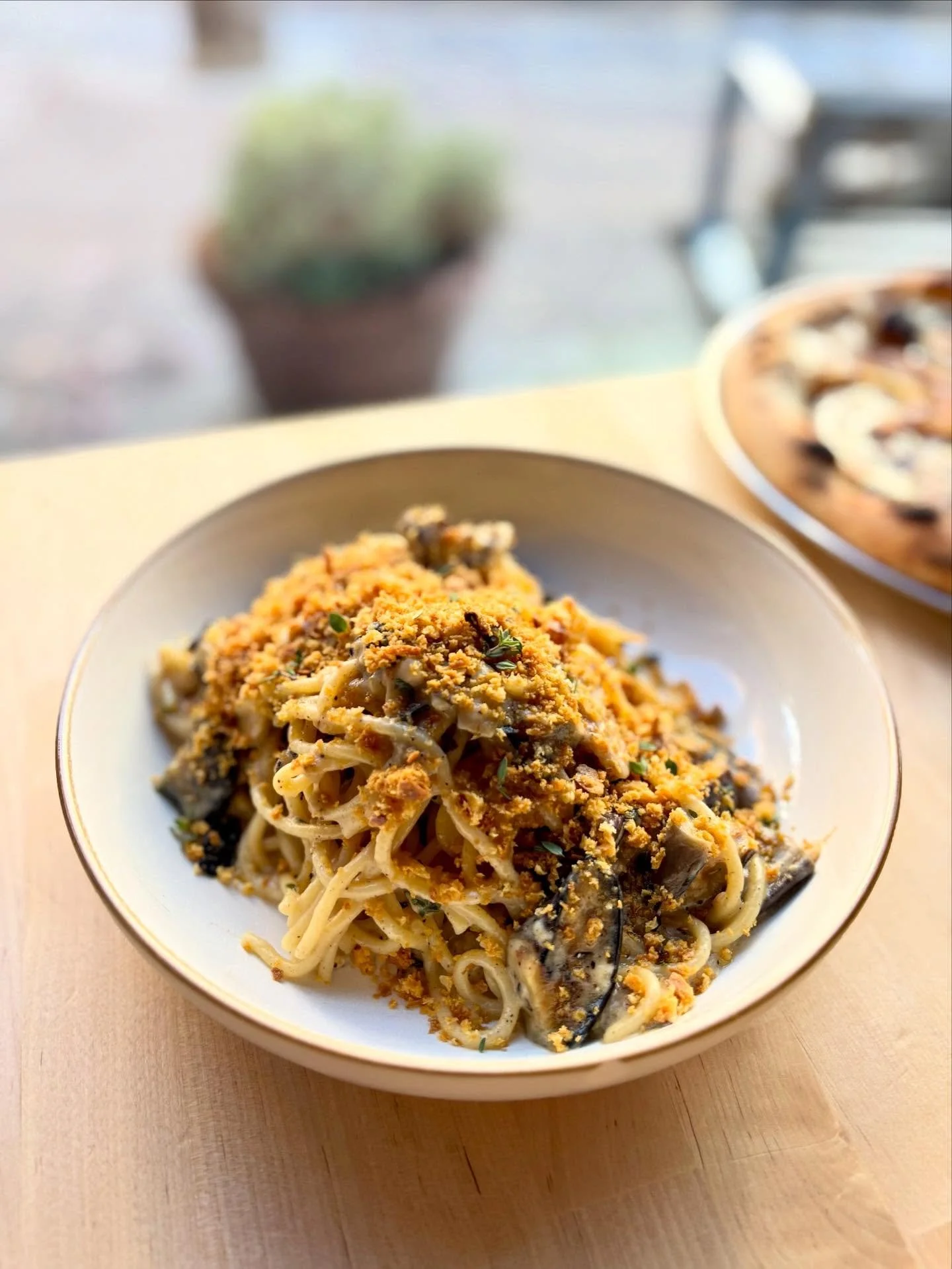 Spaghetti 🍝 saba marinated eggplant, ch&egrave;vre, colatura, breadcrumb

On the menu in Queen Anne! 

#spaghetti #veggiespaghetti #colatura #seattlepasta #seattlerestaurants #queenanneseattle