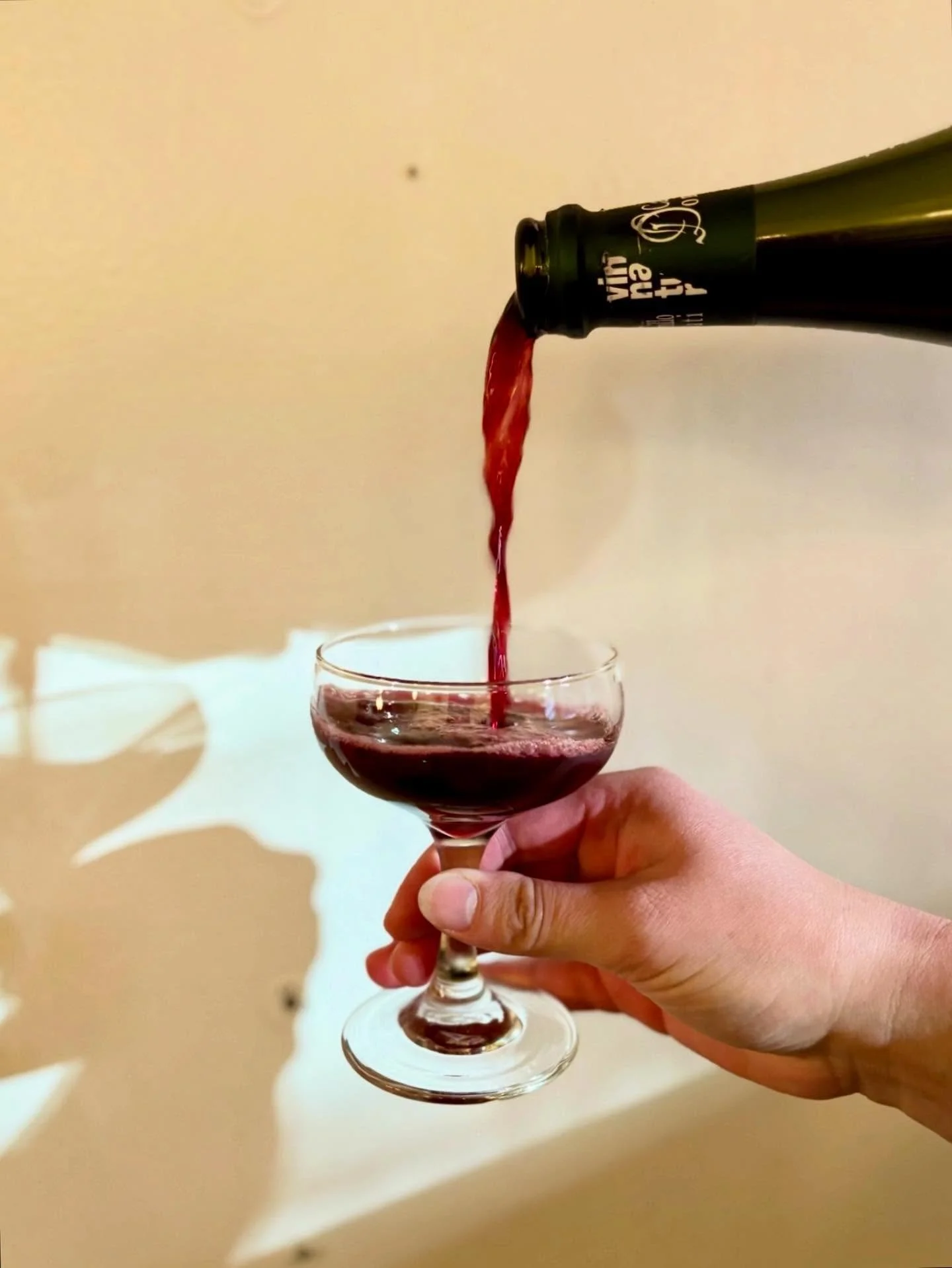 Happy Wednesday people!! What a perfect day for a mid-week refreshment 🌞 Lambrusco, &ldquo;Il Mio&rdquo;, is our treat of choice on Capitol Hill &mdash; a little dry, a lotta juicy, you&rsquo;ll maybe want more than one glass of this one 😏

By @cam