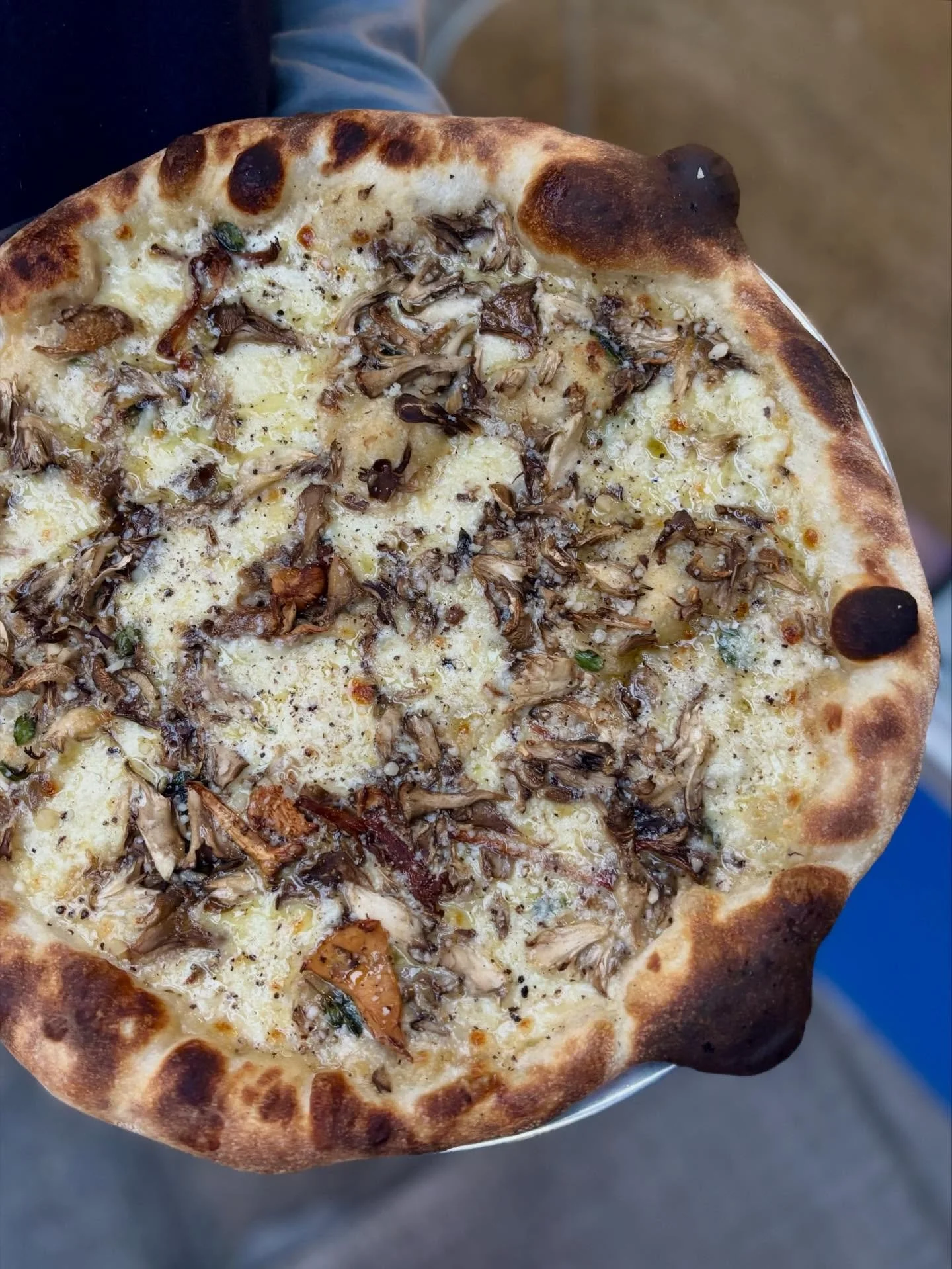 Fun Guys Only 🍄&zwj;🟫 hand stretched mozzarella, roasted garlic, oyster &amp; maitake mushroom, oregano

On the menu in Queen Anne! 

#seattlepizza #naturallyleavened #mushroompie #pizzarestaurant #seattlerestaurant