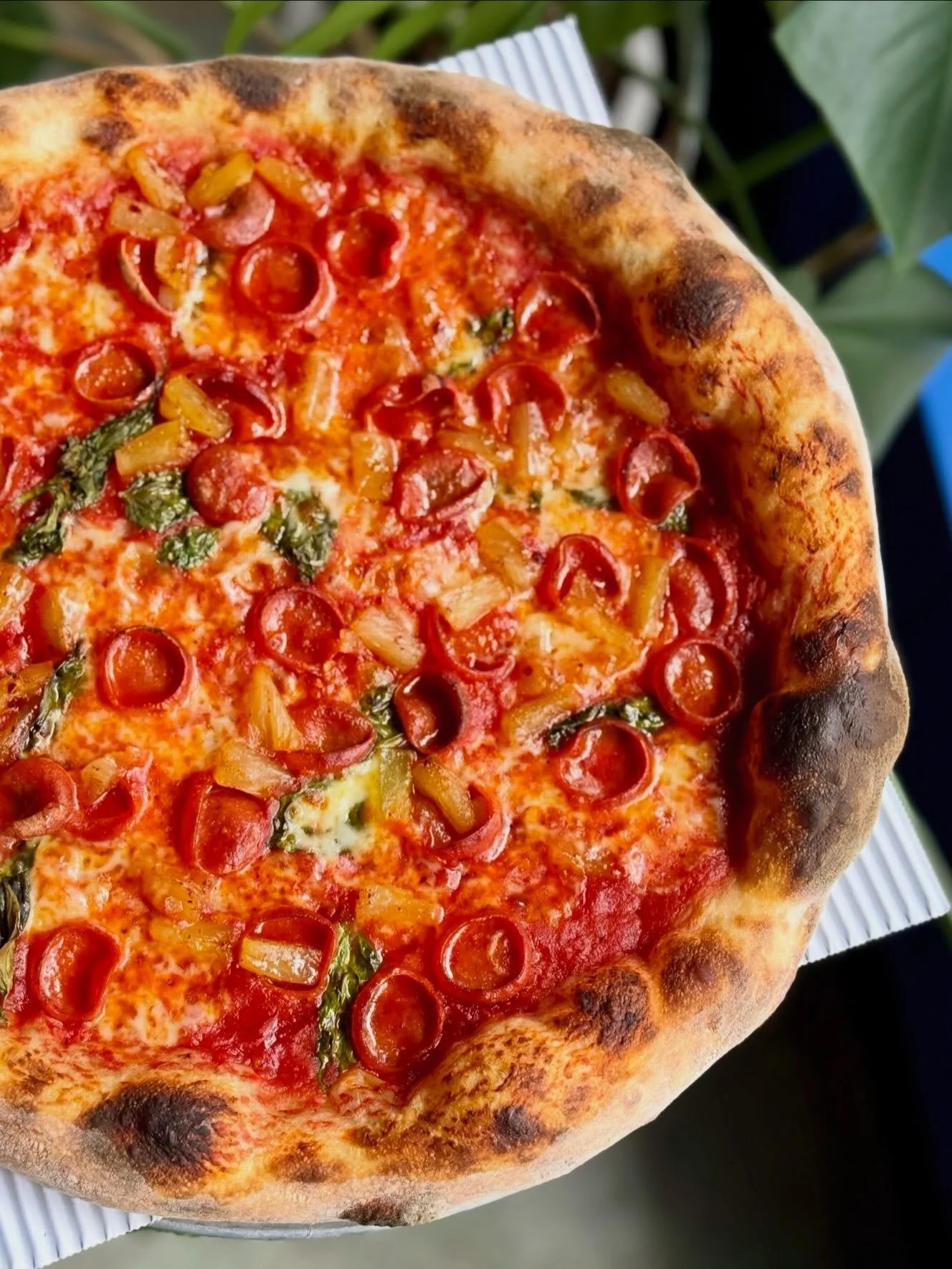 HELLO LUNCHTIME📍QUEEN ANNE we love to sustain you day and night!! Pizza pizza pizza, plus $10 glasses of wine and $5 beers yes please. 

Monday-Friday, 11a-3p. Come grab a seat with us or link in bio to place your order for pick-up/delivery! 

#seat