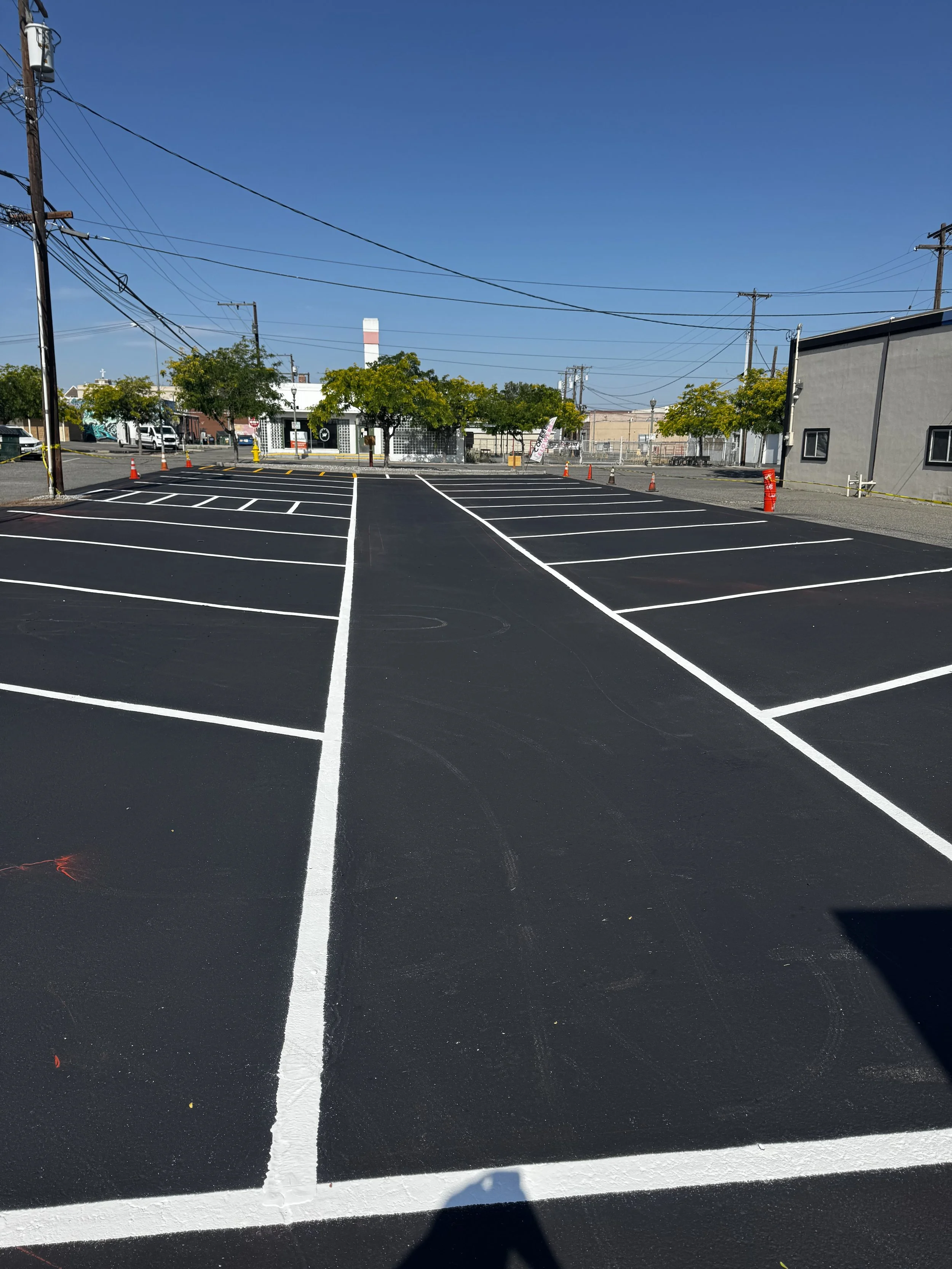 Empty parking lot with freshly painted white lines on black asphalt, green trees and buildings in the background, and a clear blue sky.