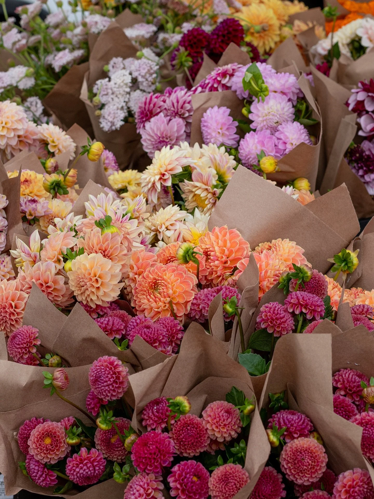 The Thursday @aginstituteofmarin Farmers’ Market has officially turned the corner into fall. Pumpkins, pomegranates, and persimmons everywhere, with just a few late strawberries still hanging on.
We build our menu around what we find at the ma