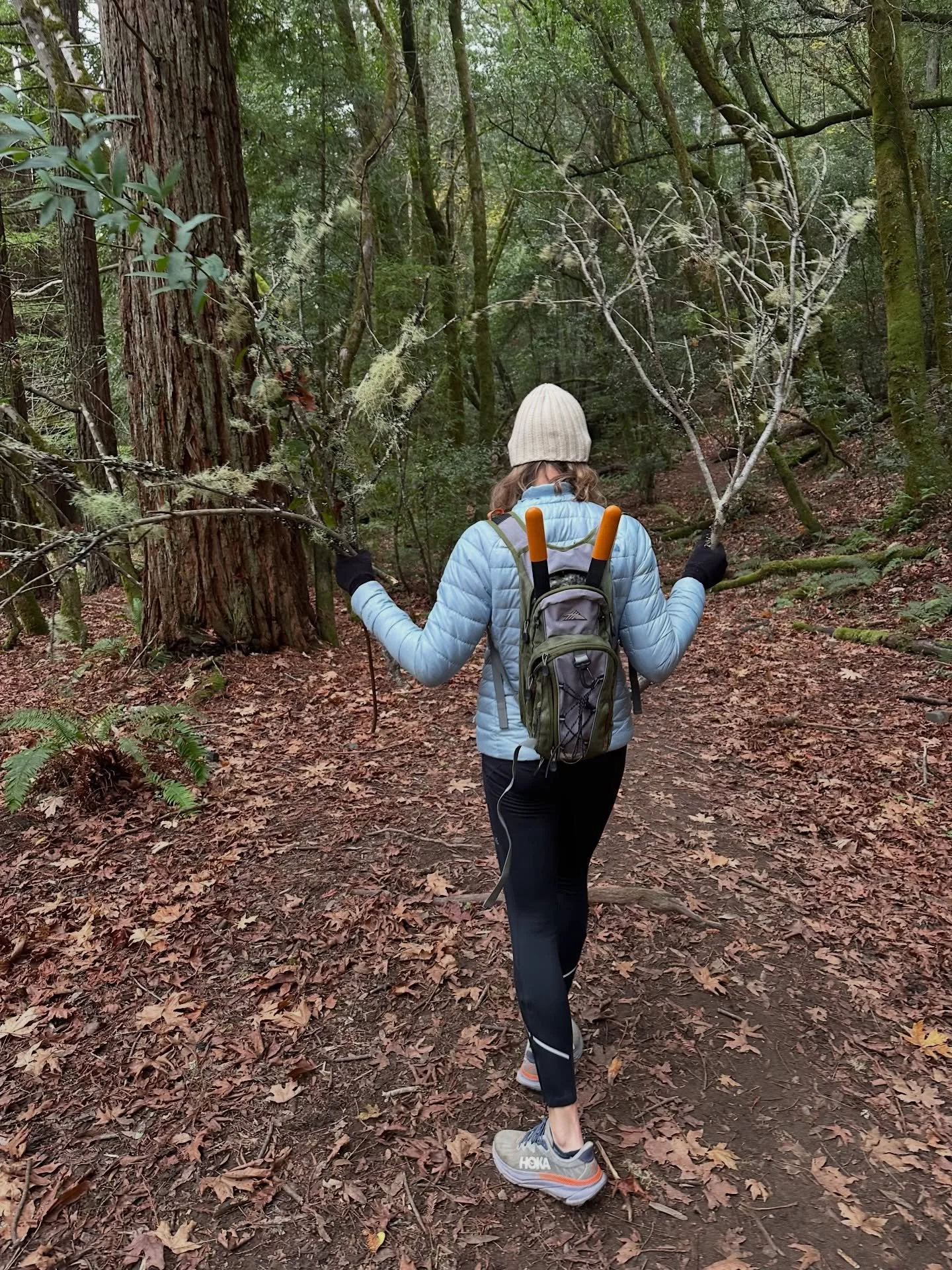 Shhhh&hellip; (listen)... crackle... crinkle... crackle...

Spotted! In her natural habitat. 

Our Holiday Spirit Elf, typically running too fast to get a shot, but in December she slows down to forage for our understated holiday trimmings... bringin