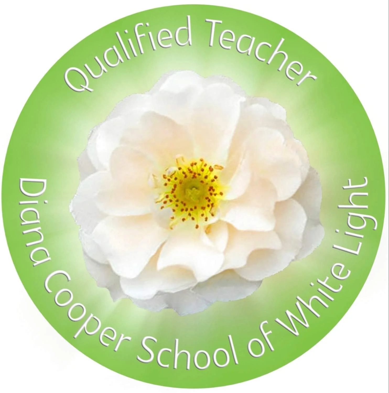 DCSWL qualified teacher
