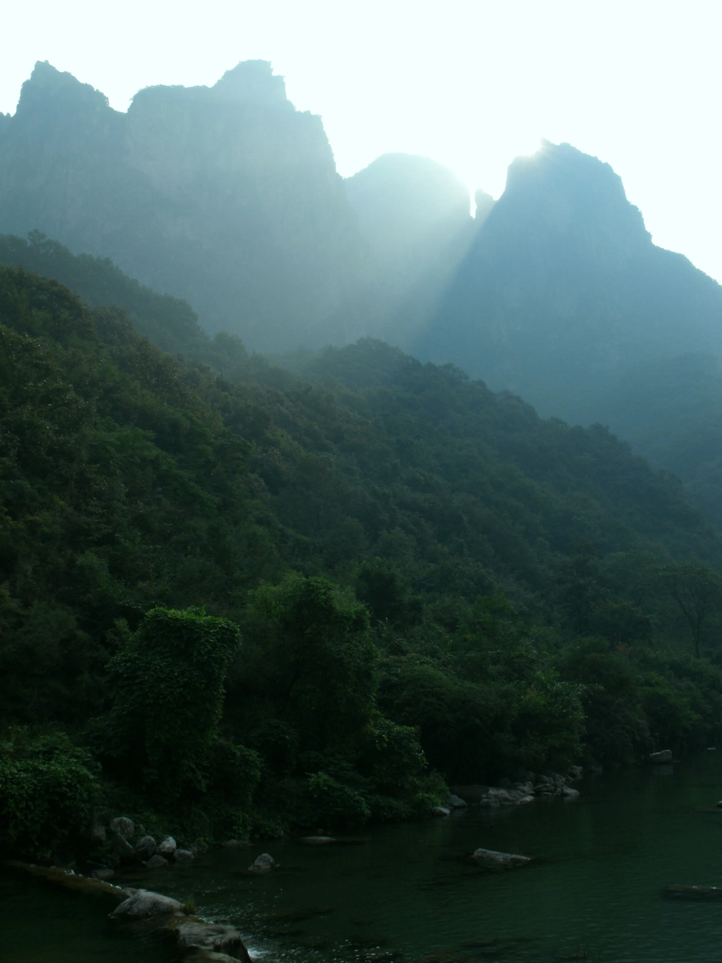 Living in Alignment and Clear Purpose After Trauma