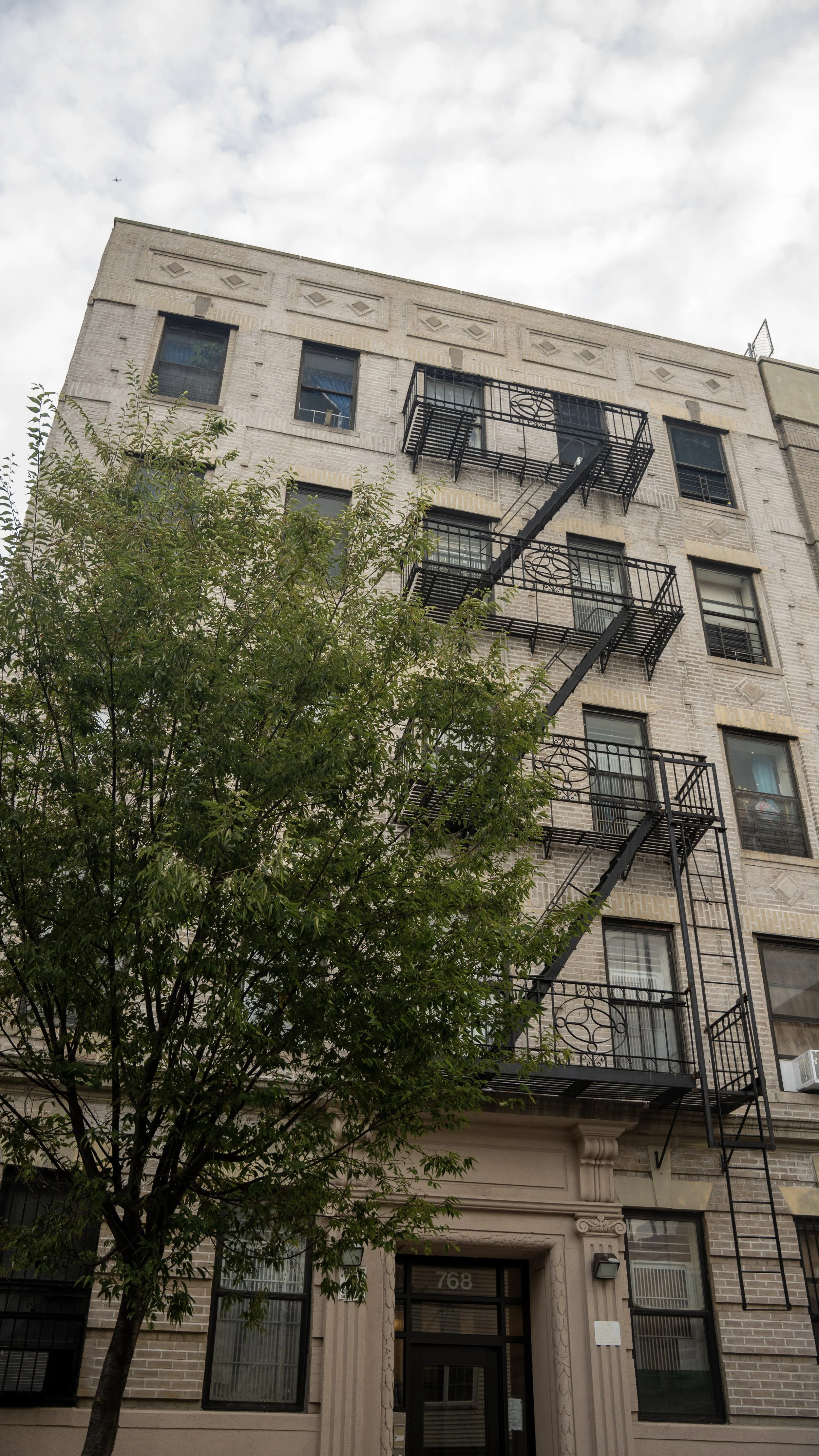 A multi-story brick apartment building with black metal fire escape staircases on the exterior. A leafy green tree in the foreground partially obscures the building's entrance.