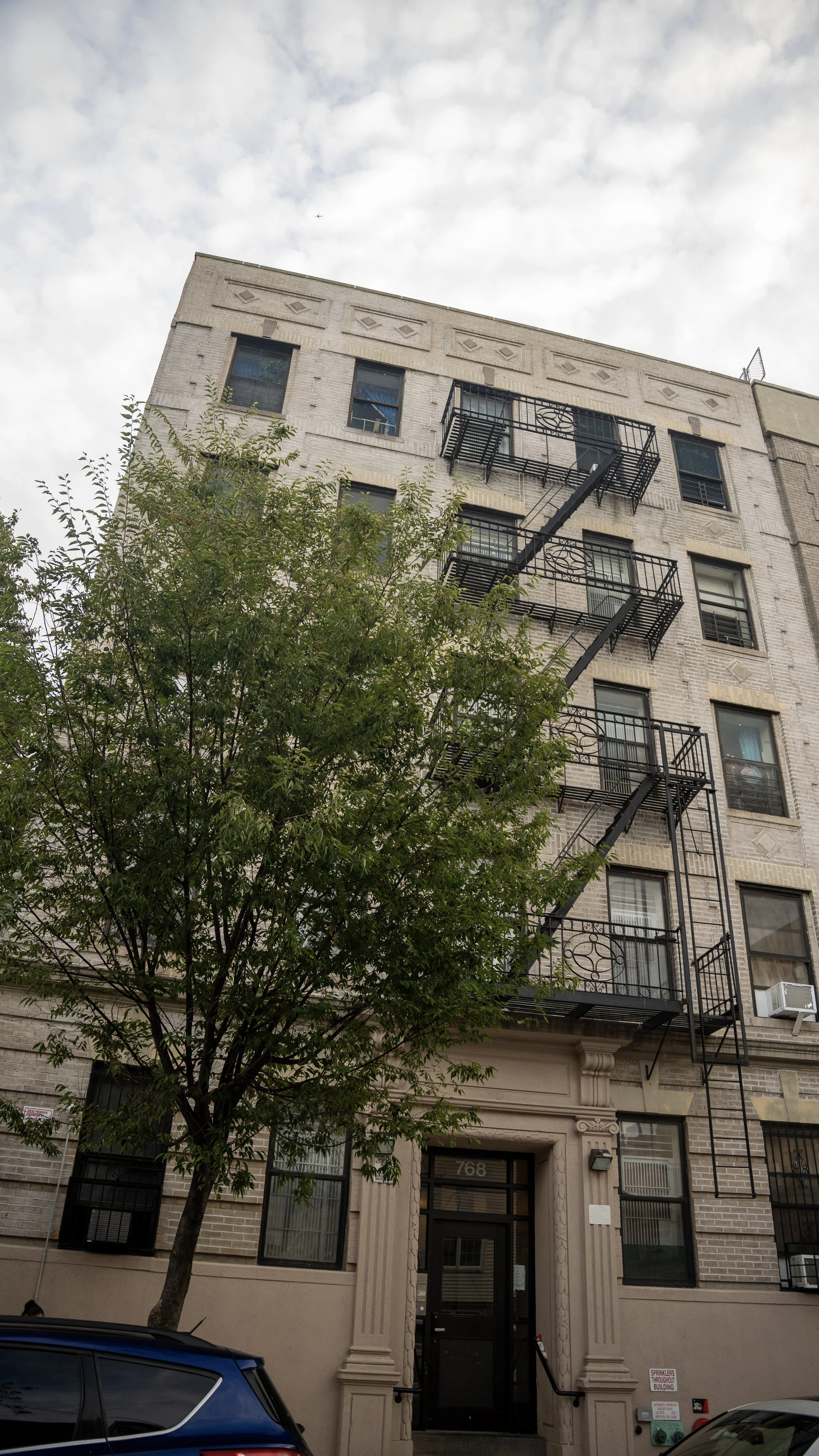 768 East 168th Street, Bronx, NY 10456